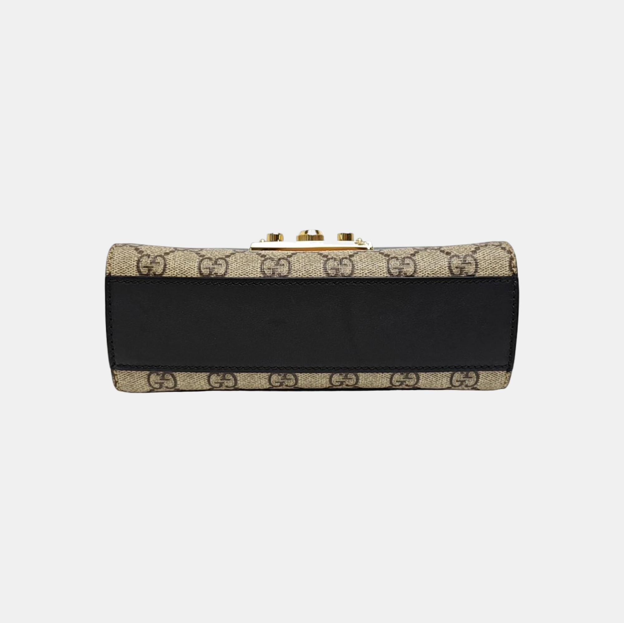Padlock Small Monogram Coated Canvas Multicolor