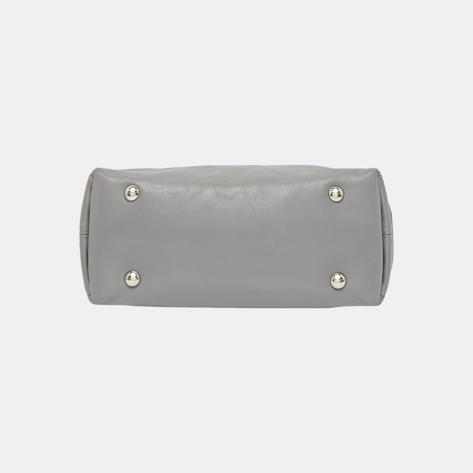 CARRYALL BB Lambskin Gray