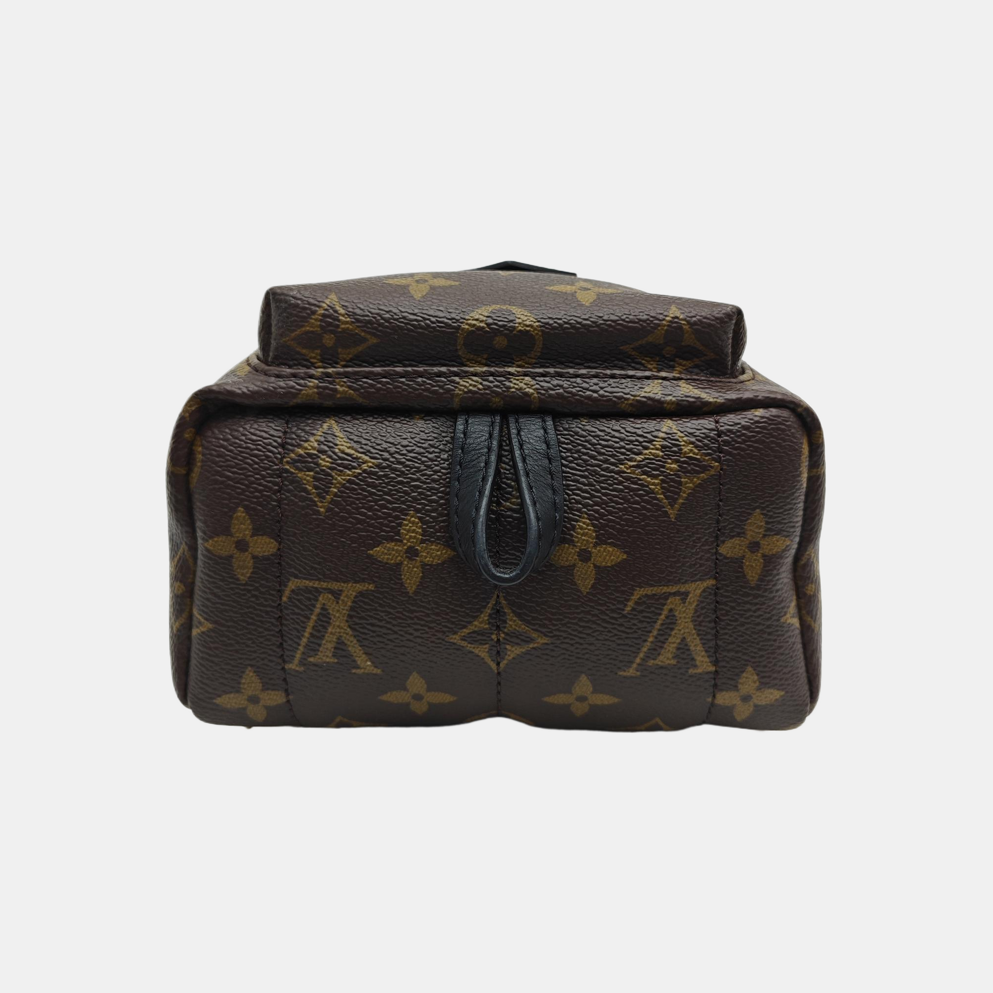PALM SPRINGS Mini Monogram Coated Canvas Brown