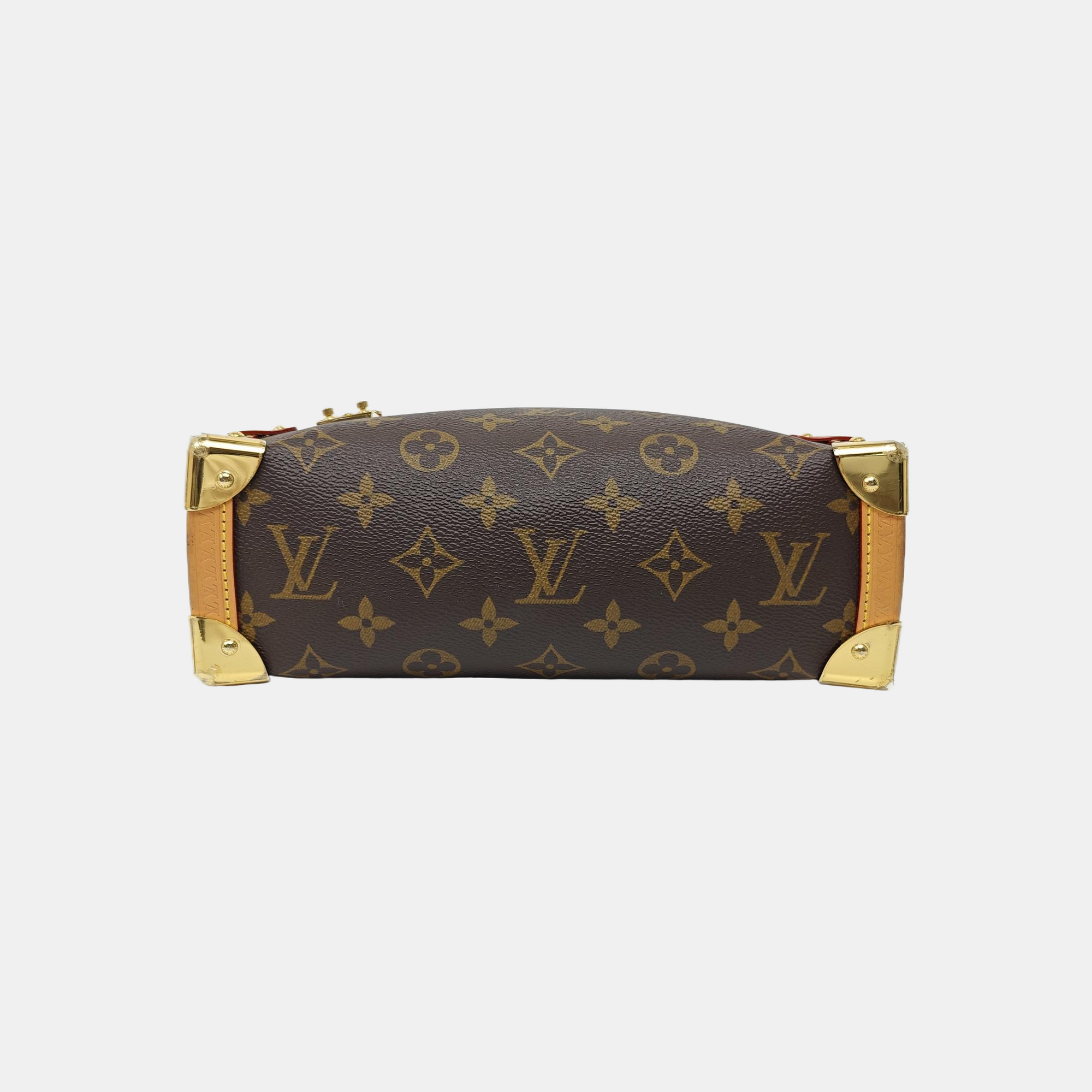 SIDE TRUNK MM Monogram Coated Canvas Brown