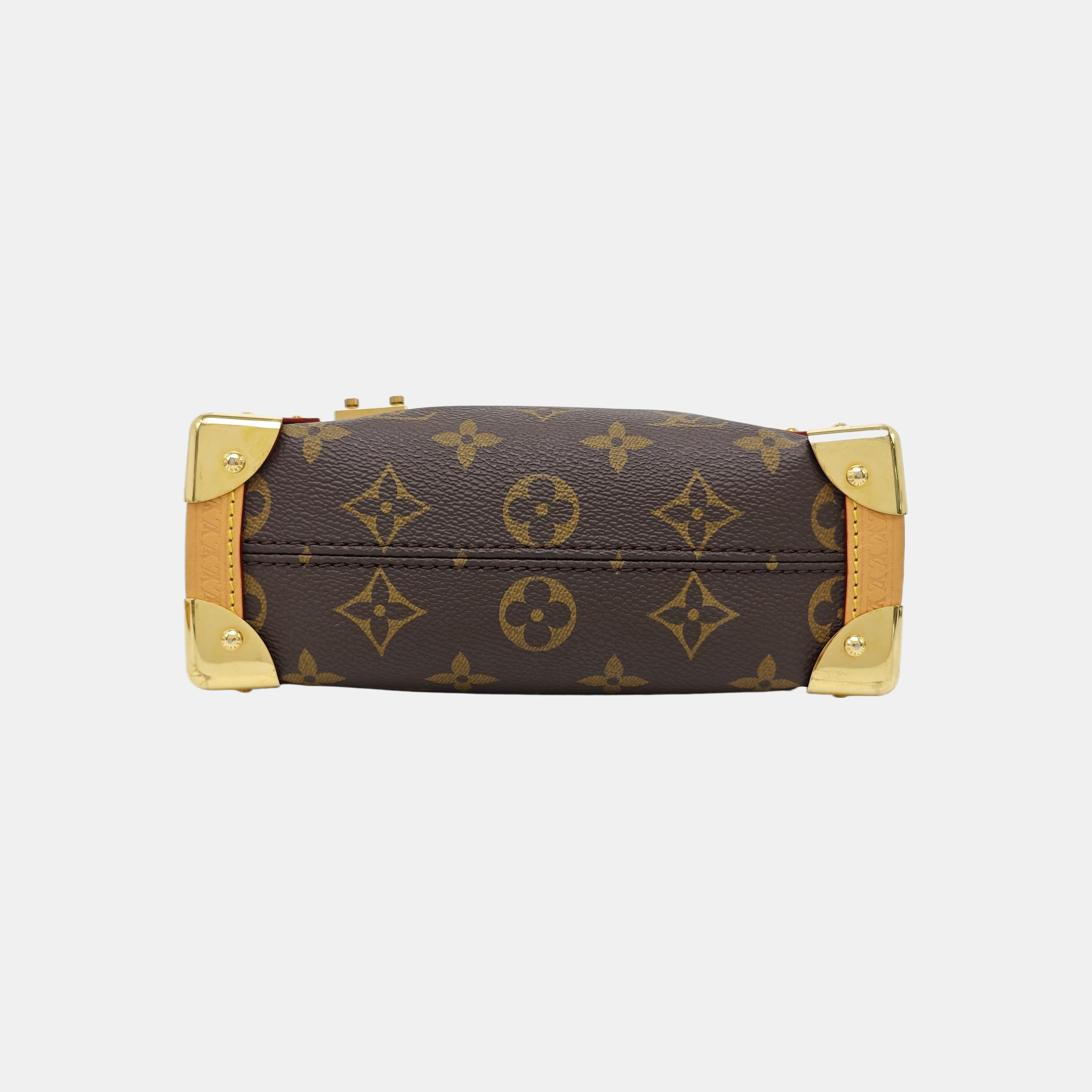 SIDE TRUNK PM Monogram Coated Canvas Brown