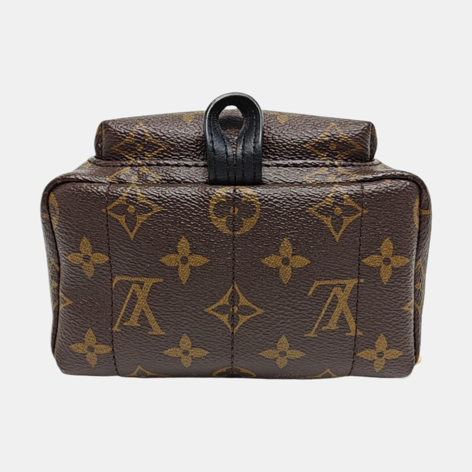 PALM SPRINGS Mini Monogram Coated Canvas Brown