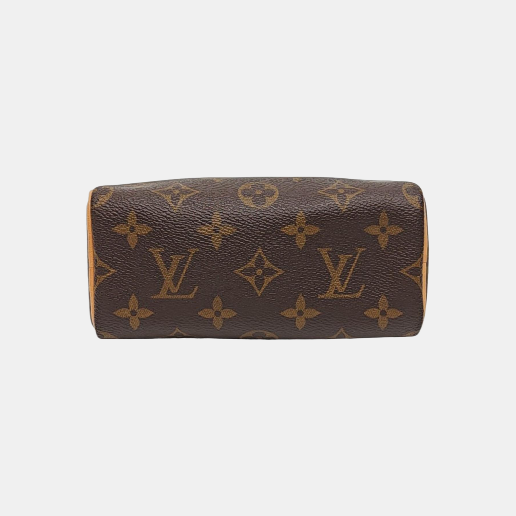 SPEEDY Nano Monogram Coated Canvas Brown