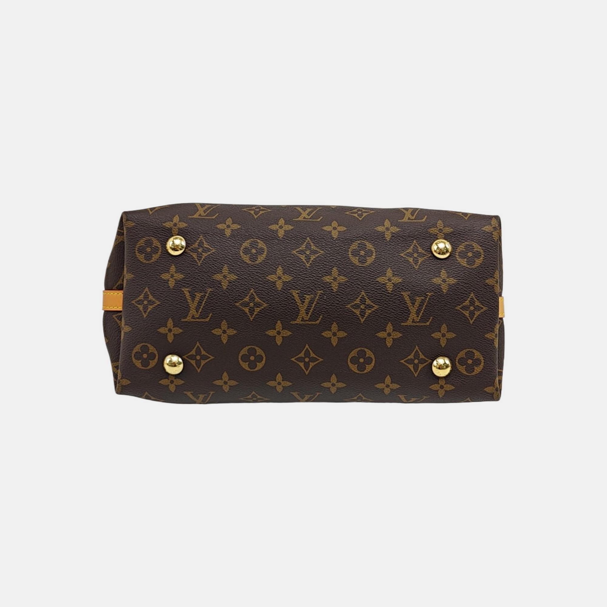 CARRYALL PM Monogram Coated Canvas Brown