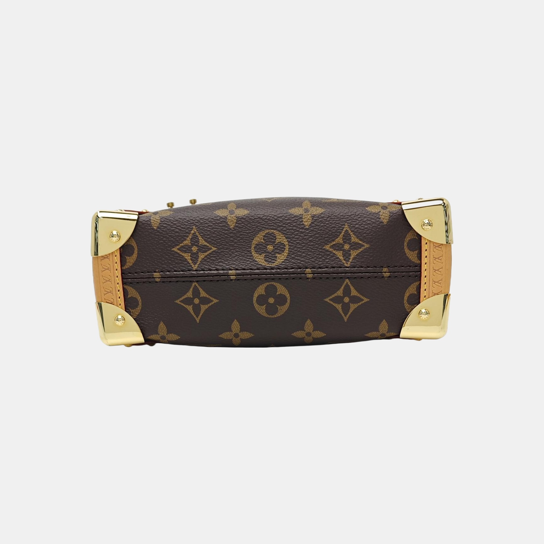 SIDE TRUNK PM Monogram Coated Canvas Brown