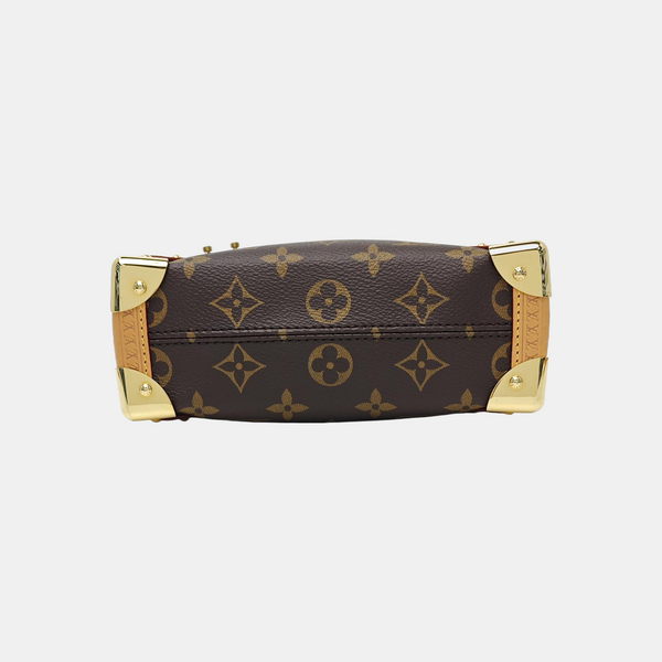 SIDE TRUNK PM Monogram Coated Canvas Brown