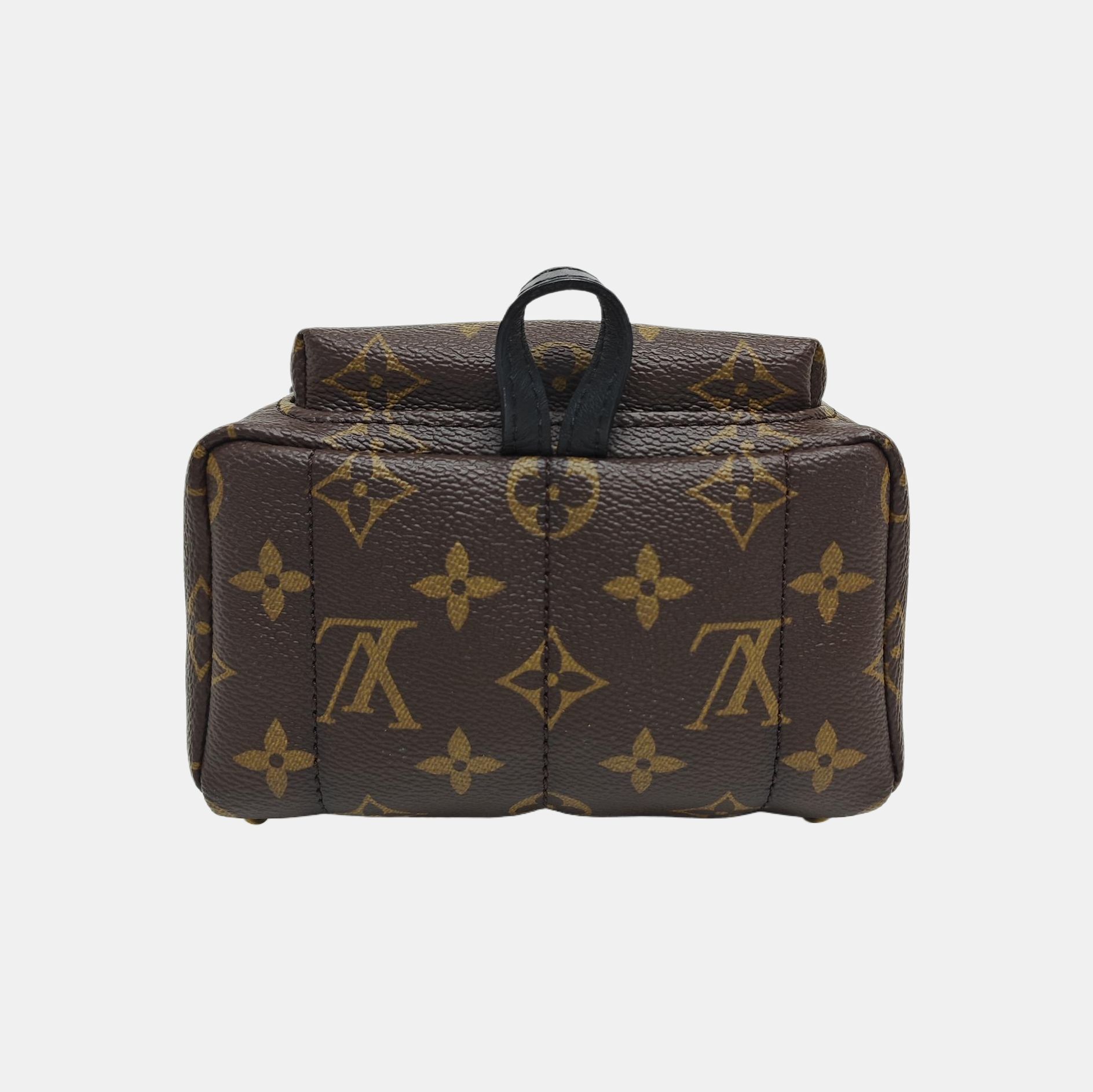 PALM SPRINGS Mini Monogram Coated Canvas Brown