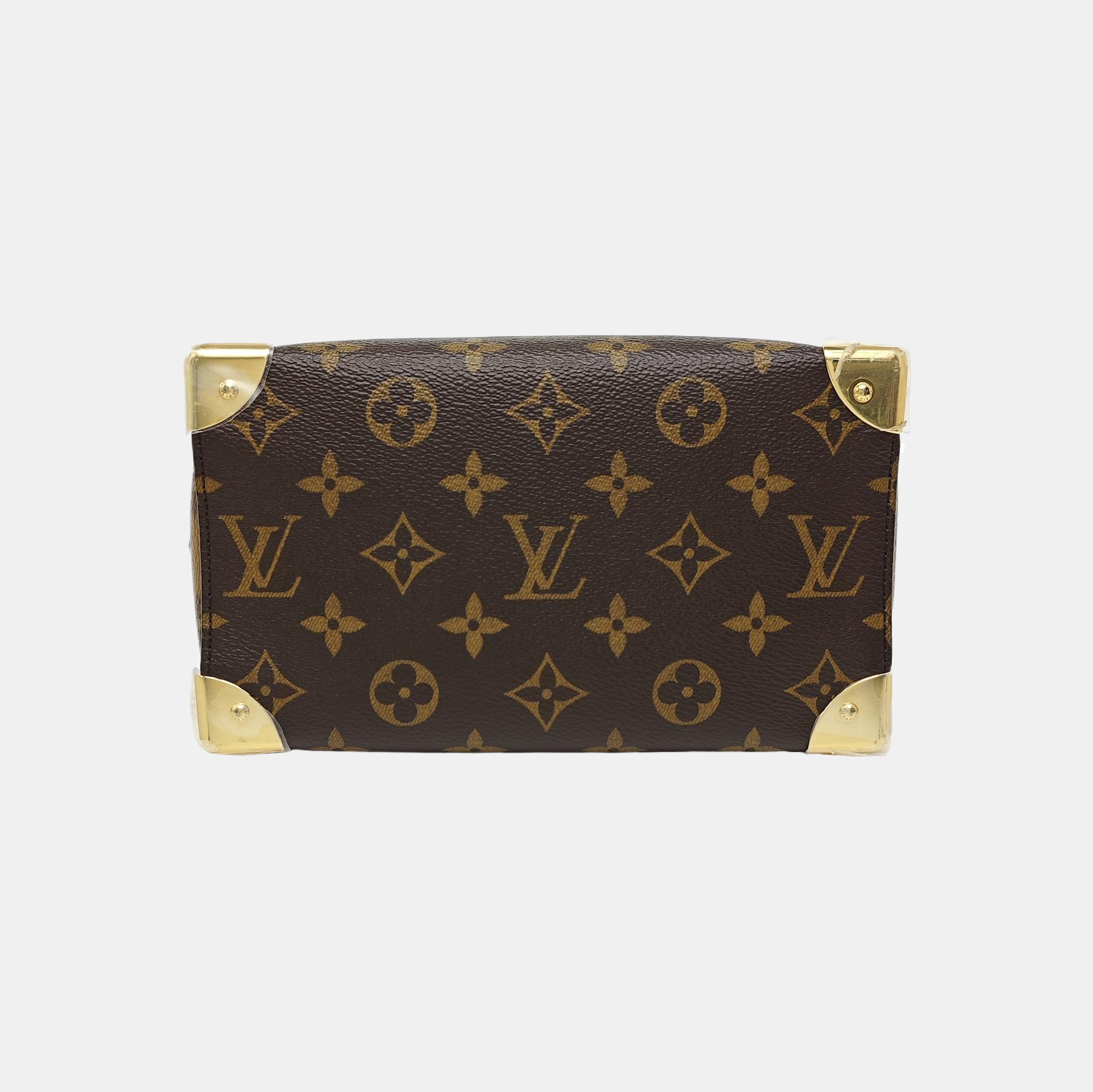 SPEEDY TRUNK 20 Monogram Coated Canvas Brown