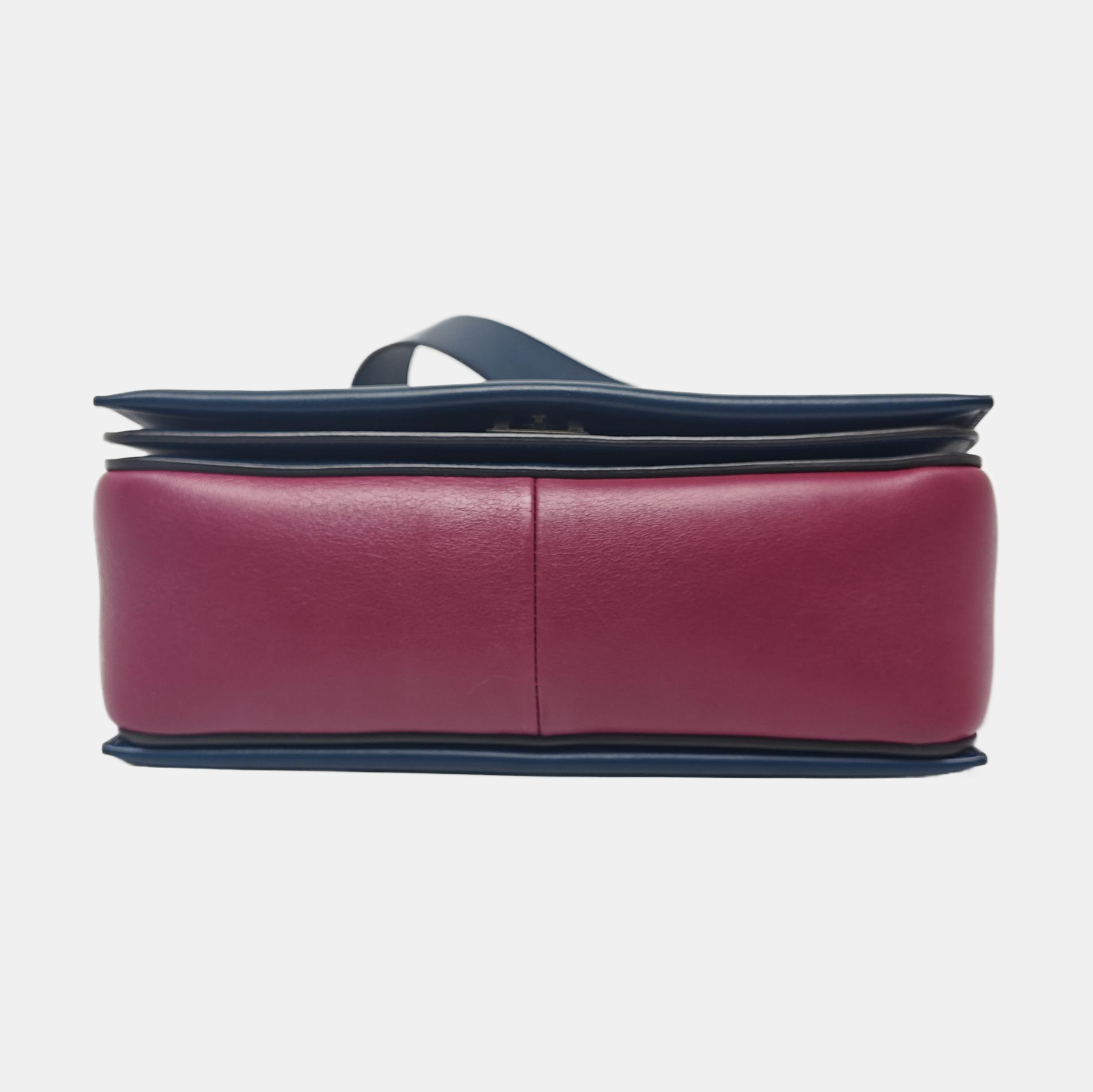 FRAME Medium Calfskin Multicolor