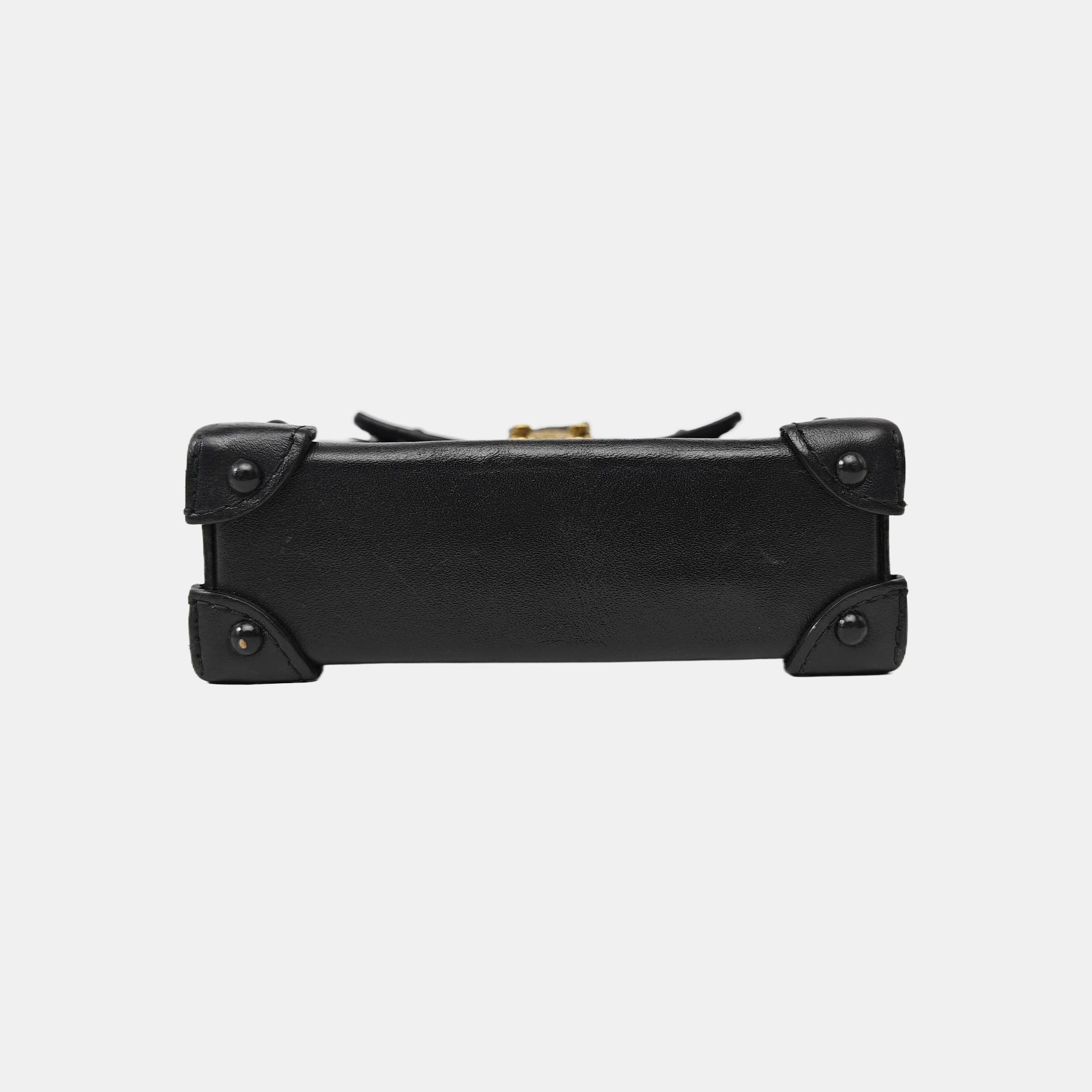 TRUNK Monogram Coated Canvas Brown