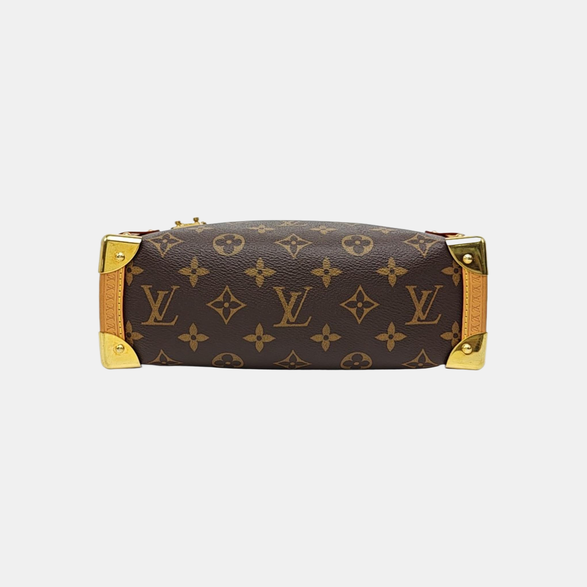 SIDE TRUNK MM Monogram Coated Canvas Brown