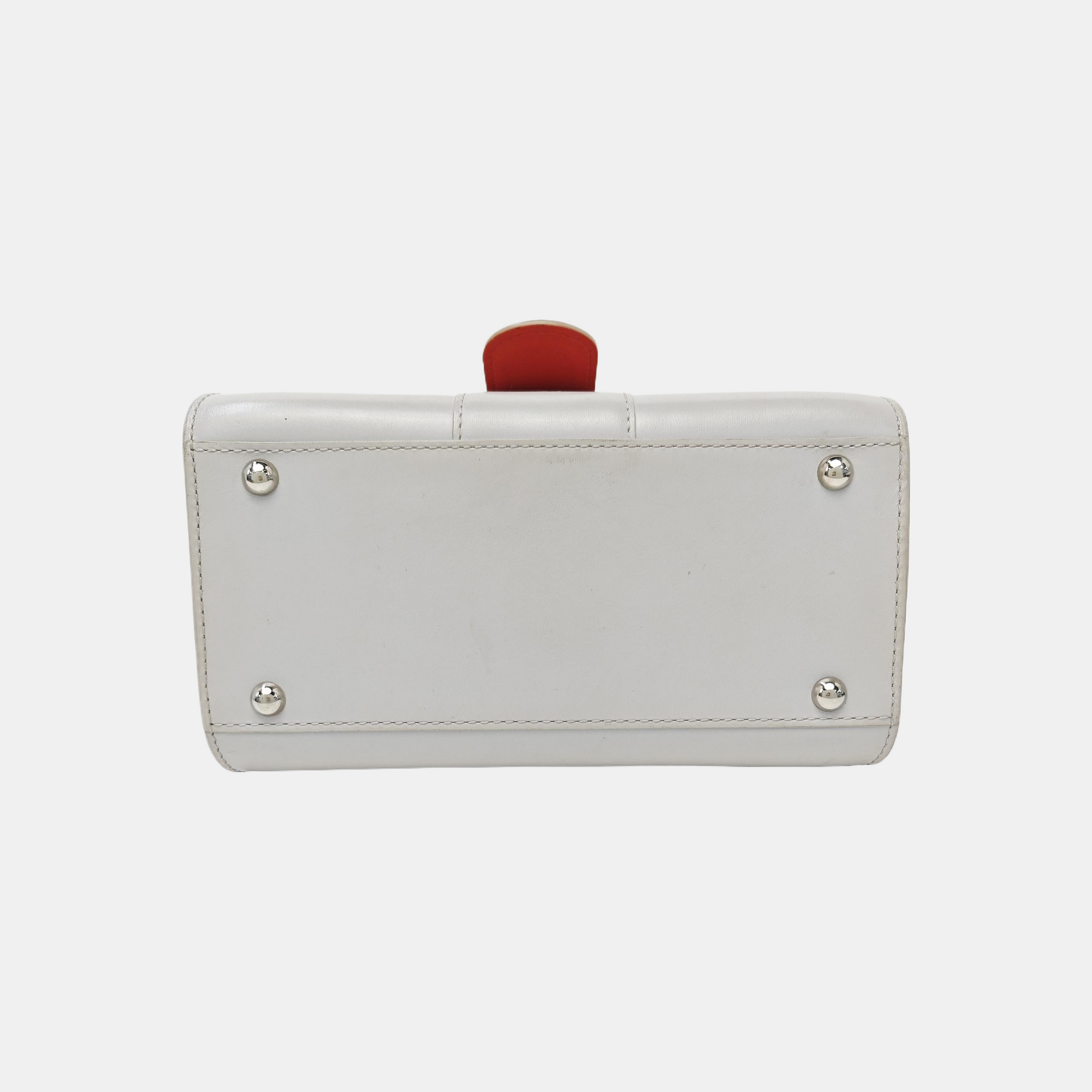 Brillant Mini Calfskin Gray