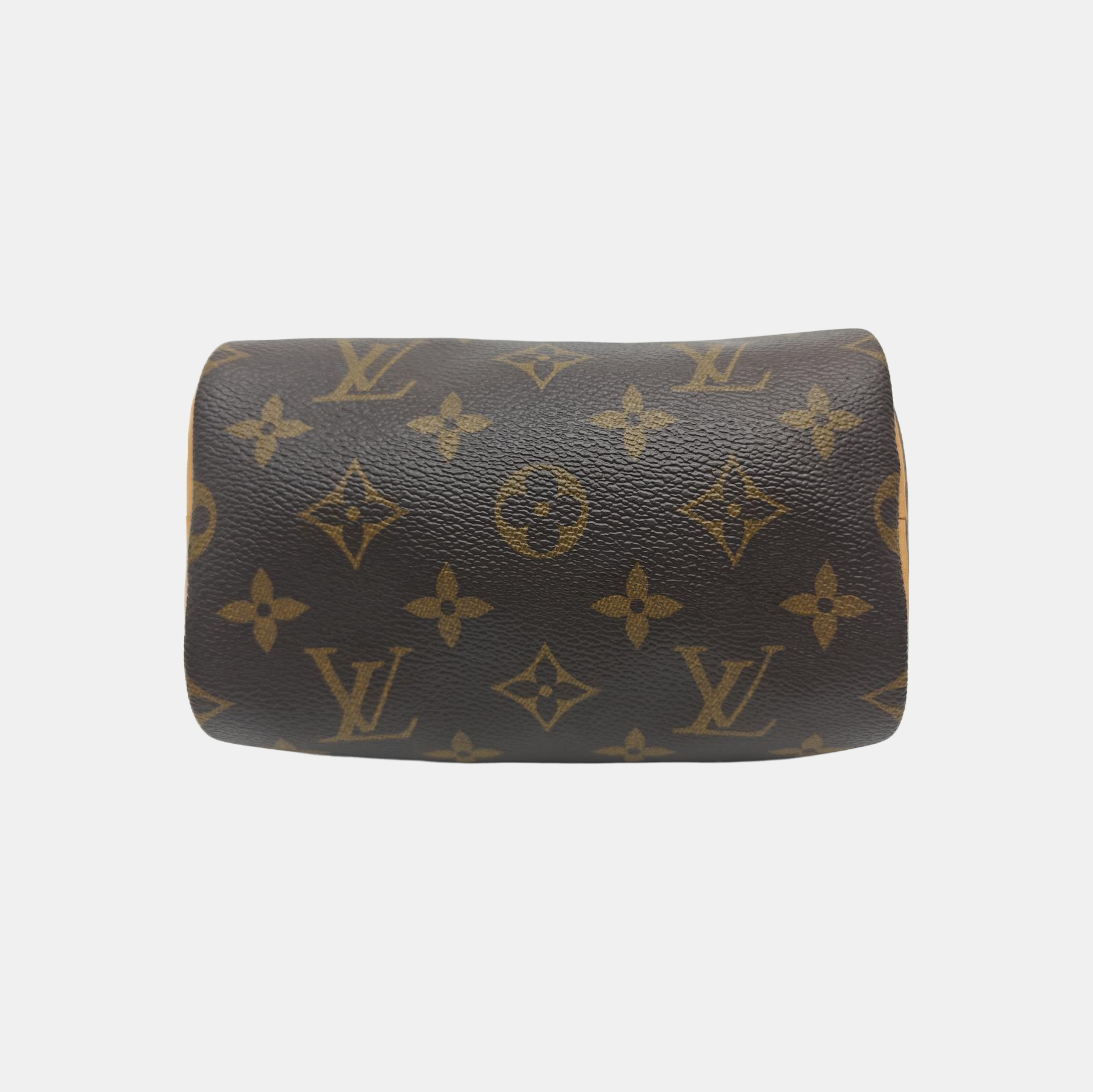 SPEEDY Nano Monogram Coated Canvas Brown
