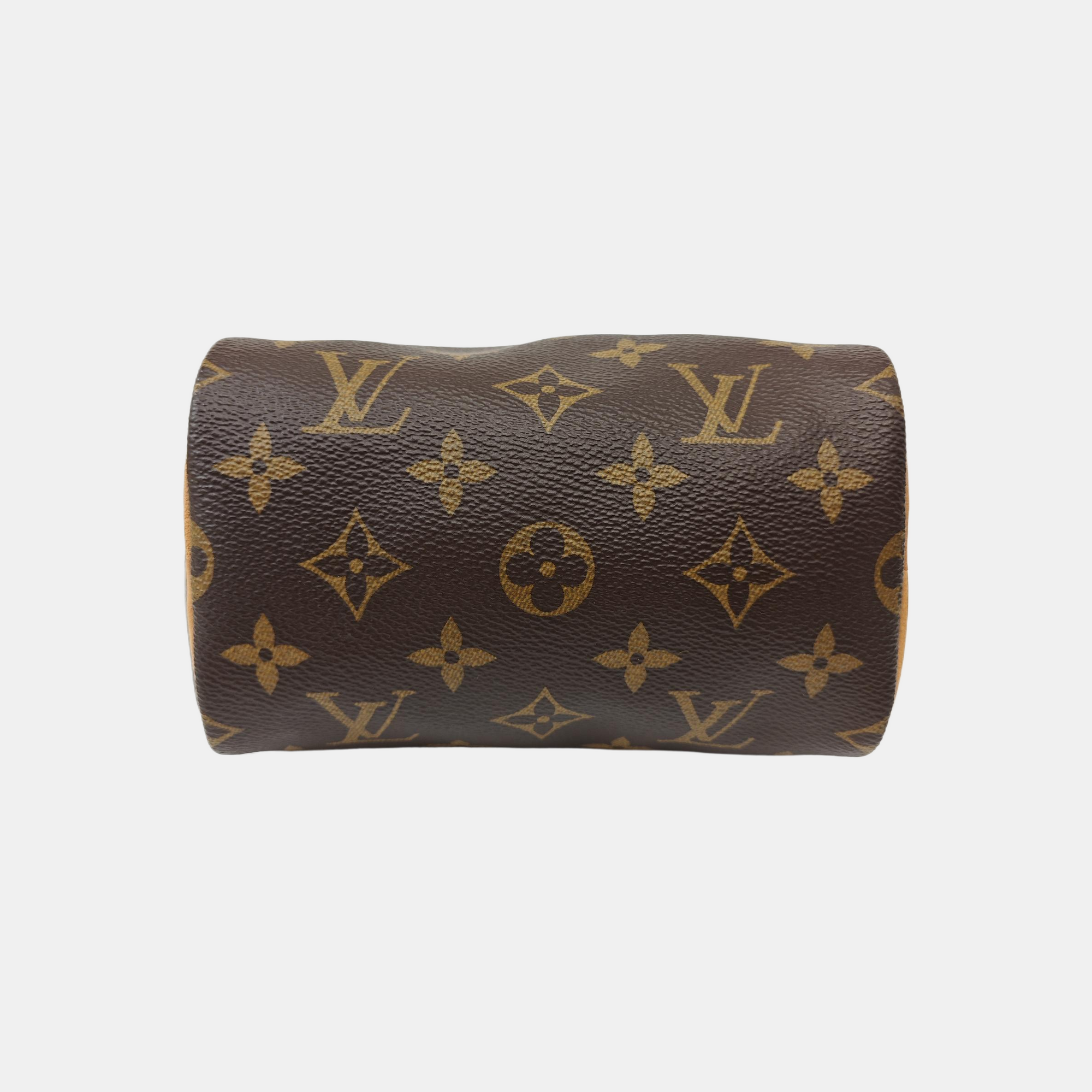 SPEEDY Nano Monogram Coated Canvas Brown