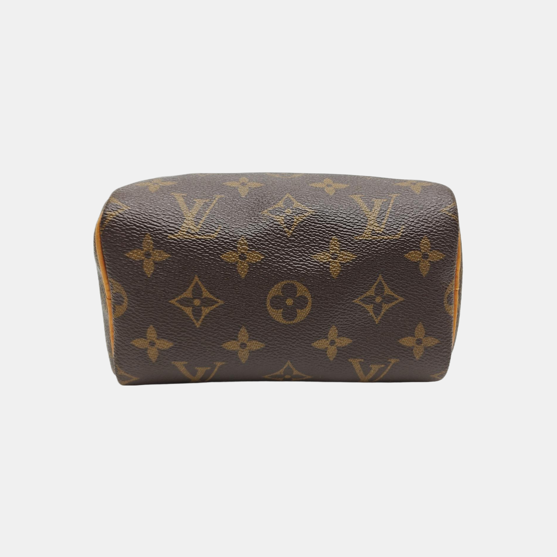 SPEEDY Nano Monogram Coated Canvas Brown