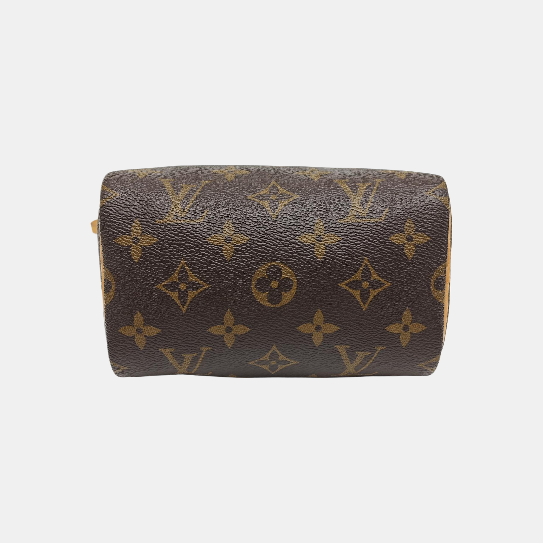 SPEEDY Nano Monogram Coated Canvas Brown