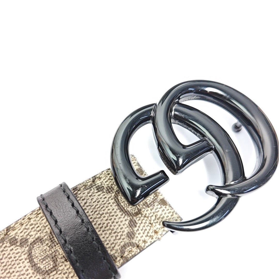 Coated Canvas Belt Beige