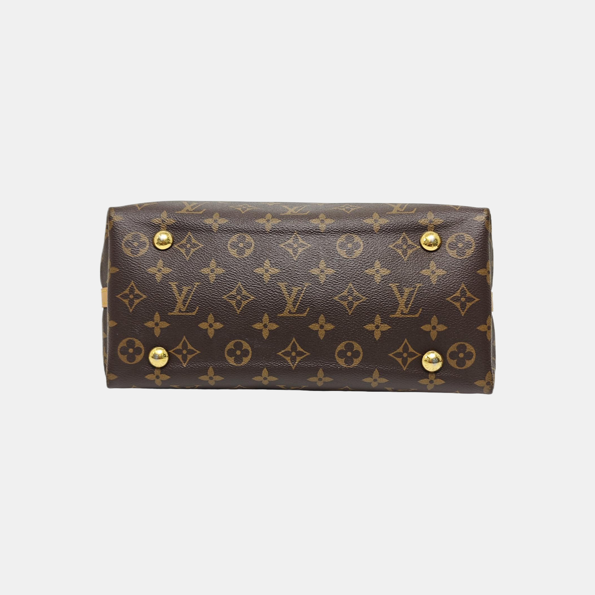 CARRYALL PM Monogram Coated Canvas Brown