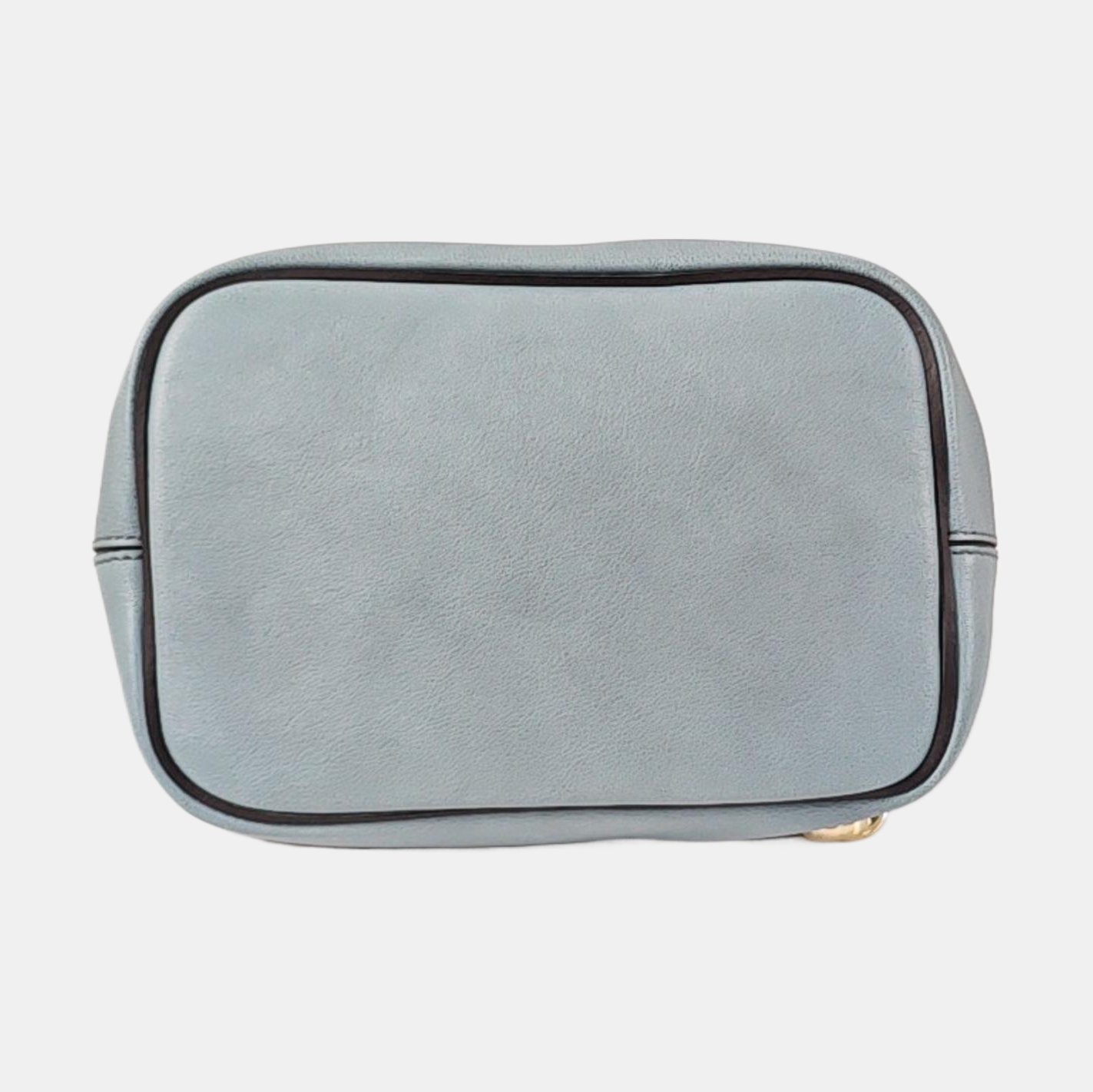 Faye Small Calfskin Blue