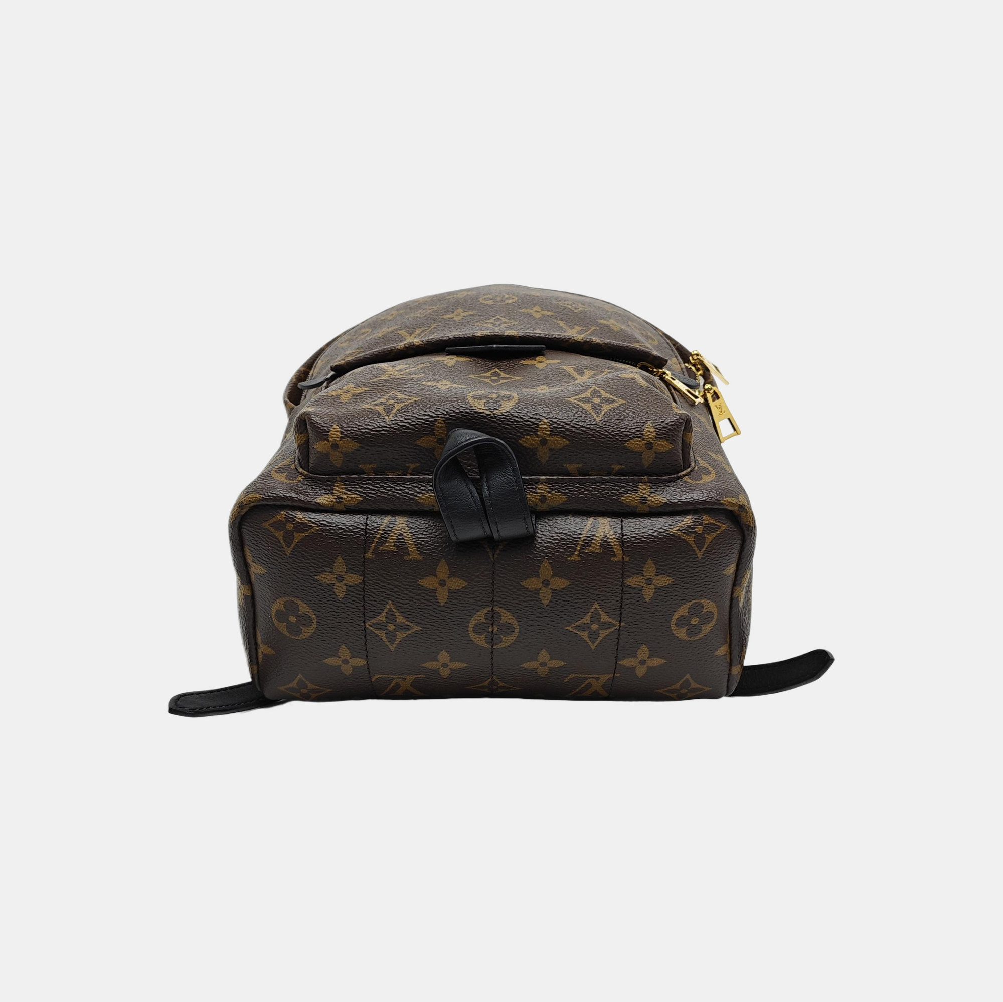 PALM SPRINGS PM Monogram Coated Canvas Brown