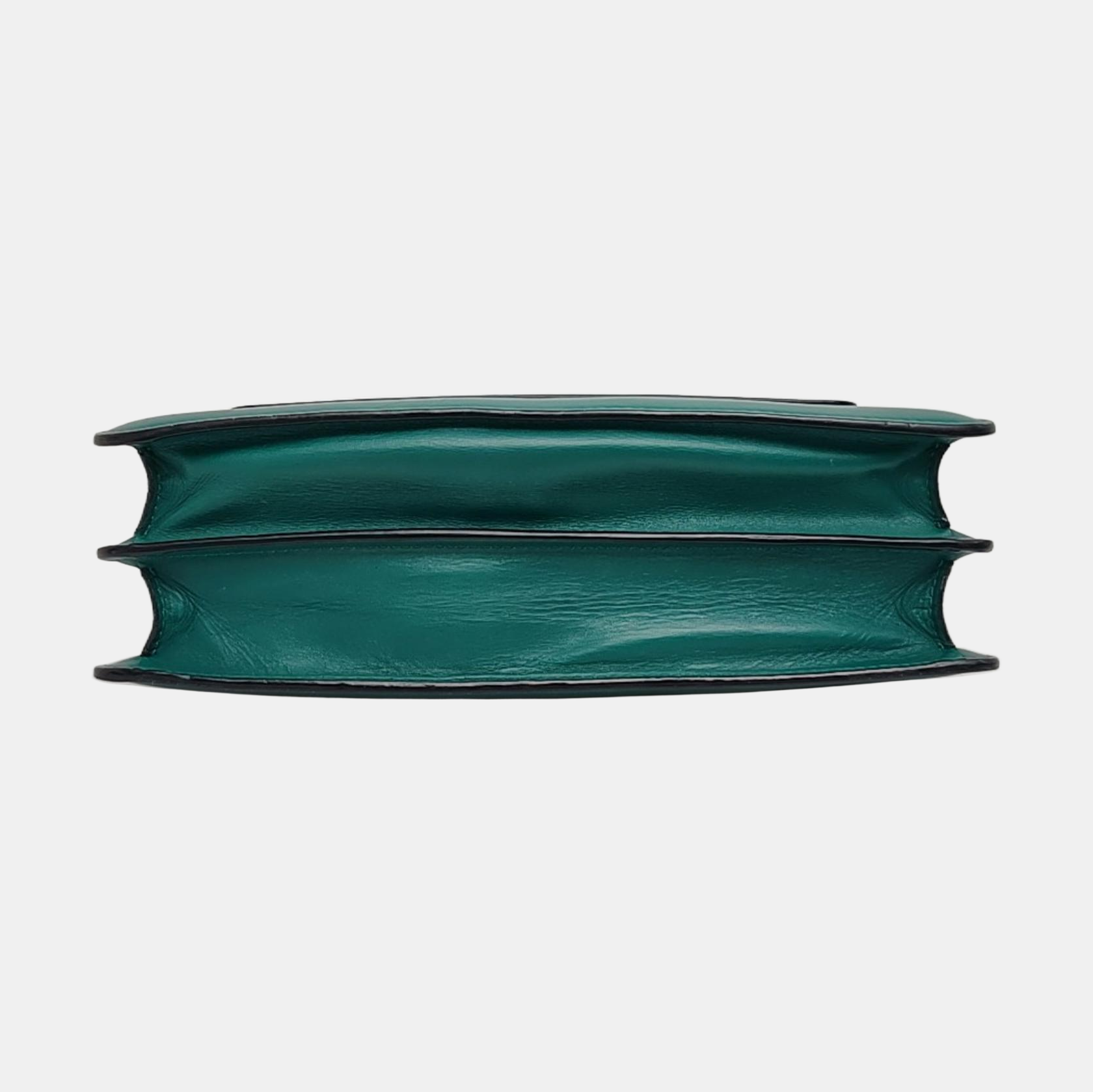 SERPENTI FOREVER Medium Calfskin Green