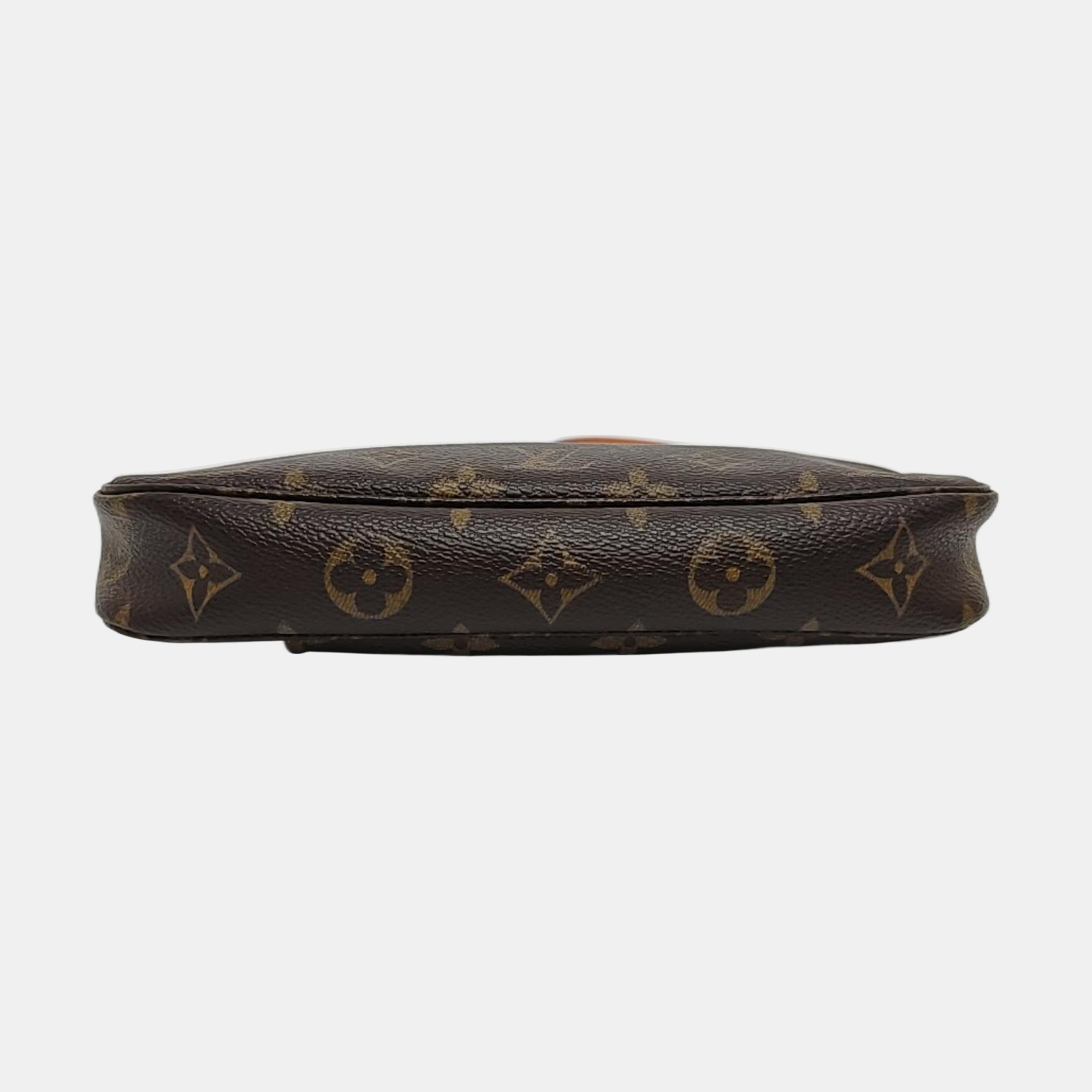ACCESSOIRES Monogram Coated Canvas Brown