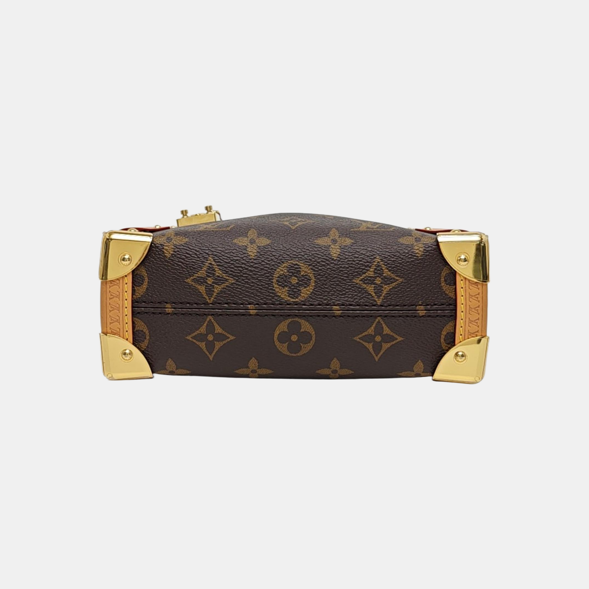 SIDE TRUNK PM Monogram Coated Canvas Brown