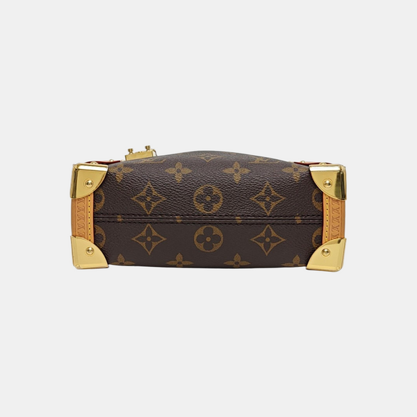 SIDE TRUNK PM Monogram Coated Canvas Brown