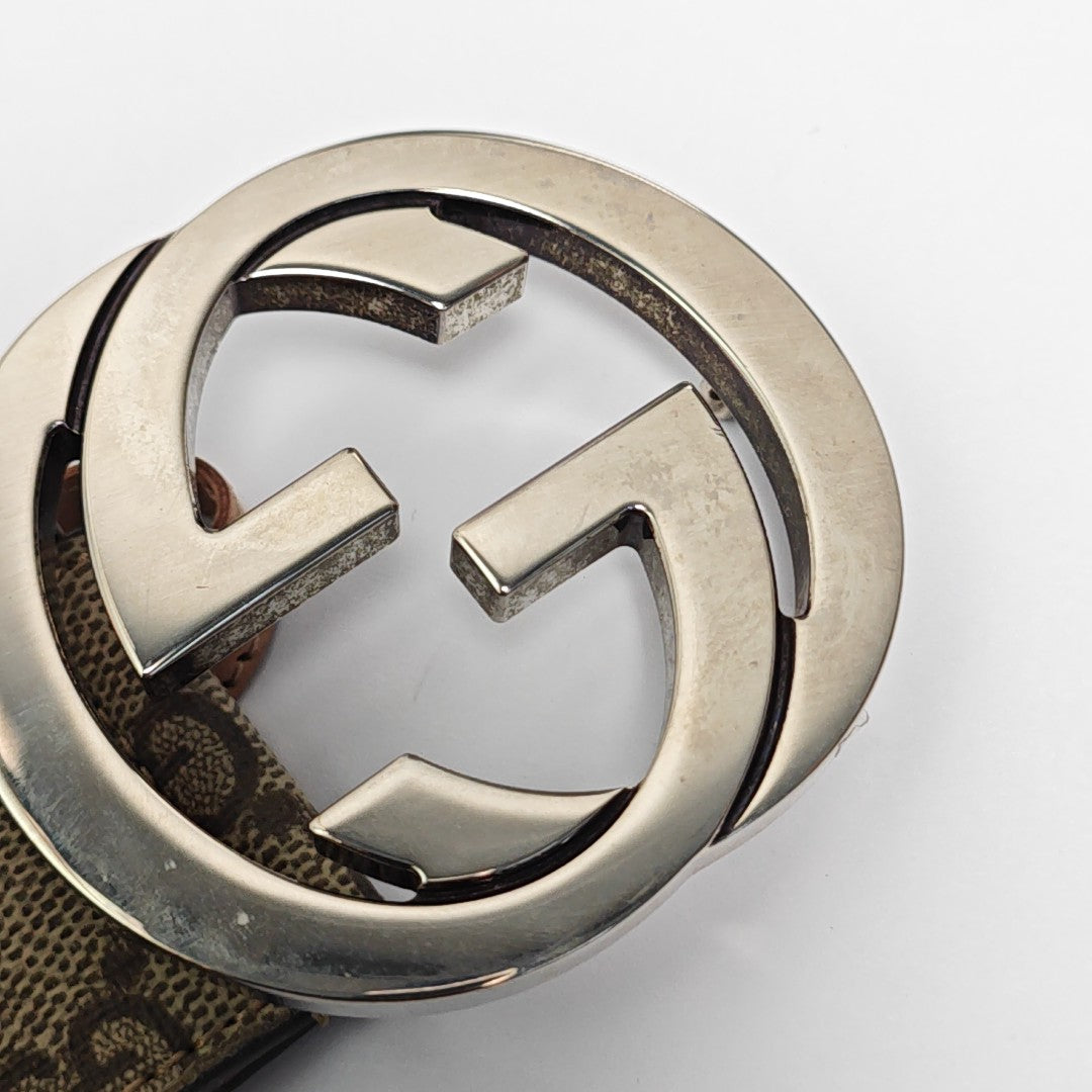 Coated Canvas Belt Beige