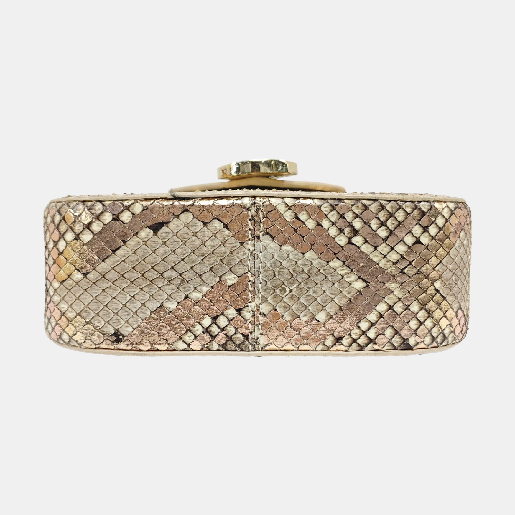 DIVAS' DREAM Python Multicolor