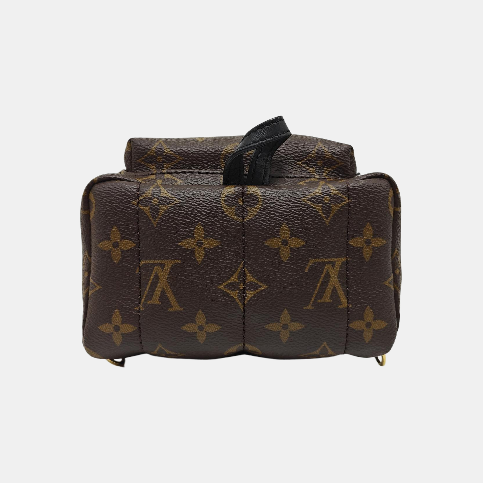 PALM SPRINGS Mini Monogram Coated Canvas Brown