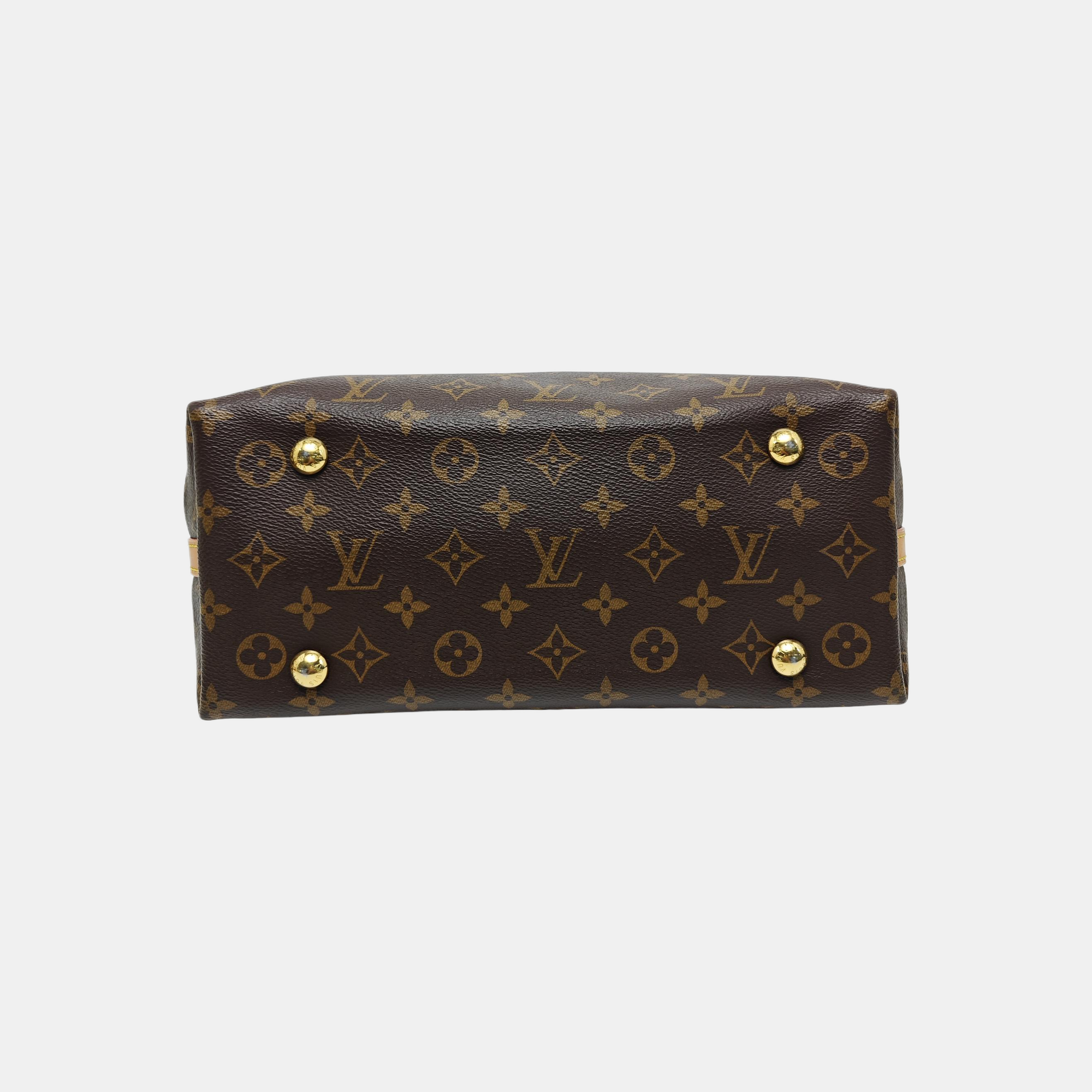 CARRYALL PM Monogram Coated Canvas Brown