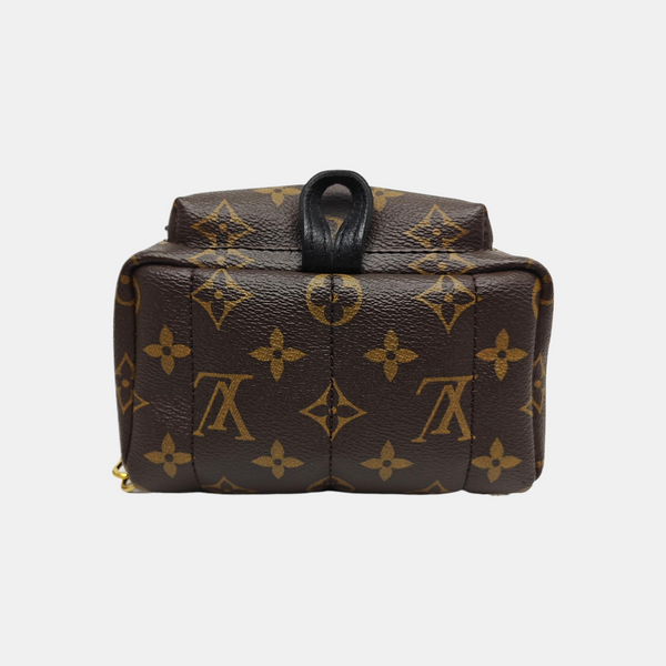 PALM SPRINGS Mini Monogram Coated Canvas Brown