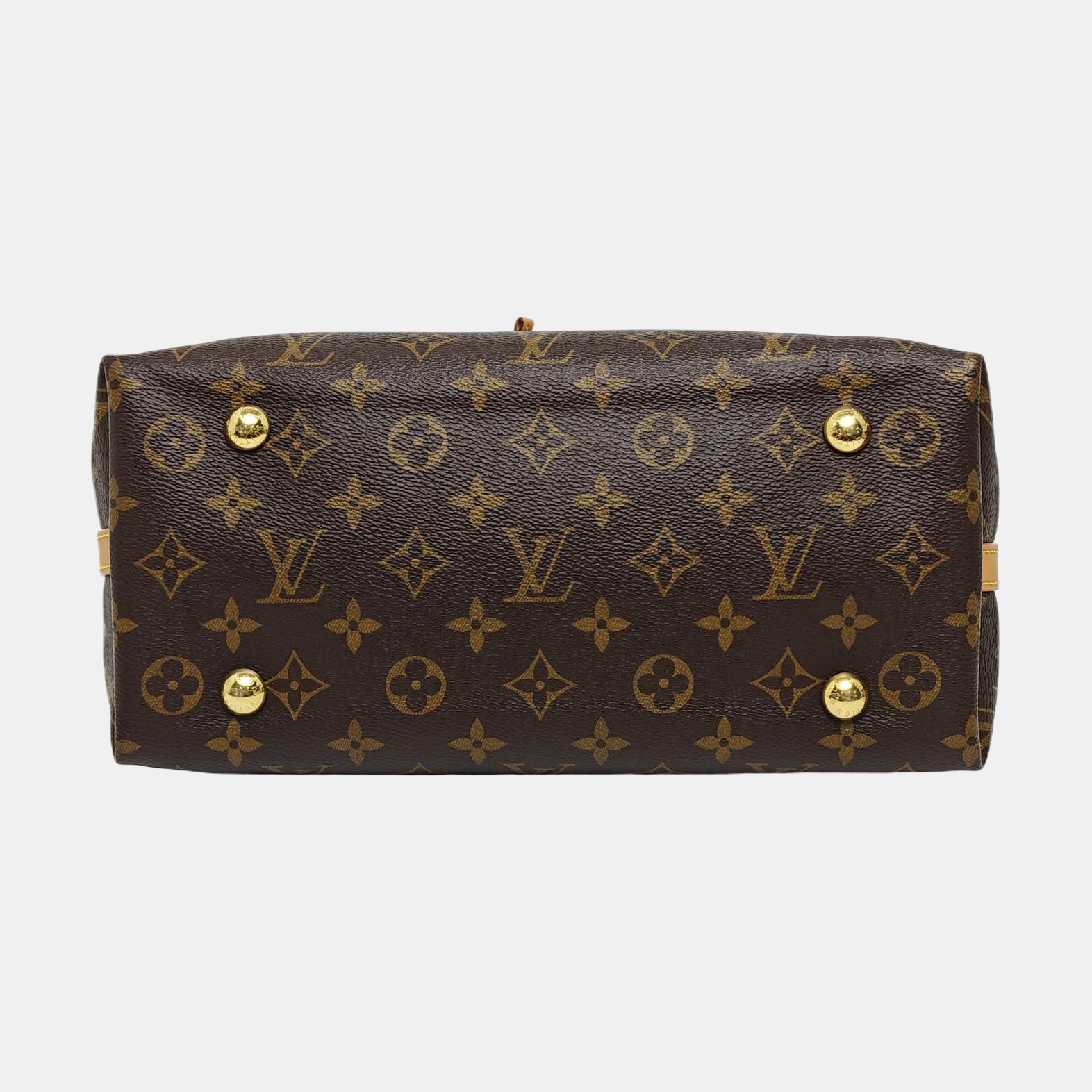 CARRYALL PM Monogram Coated Canvas Brown