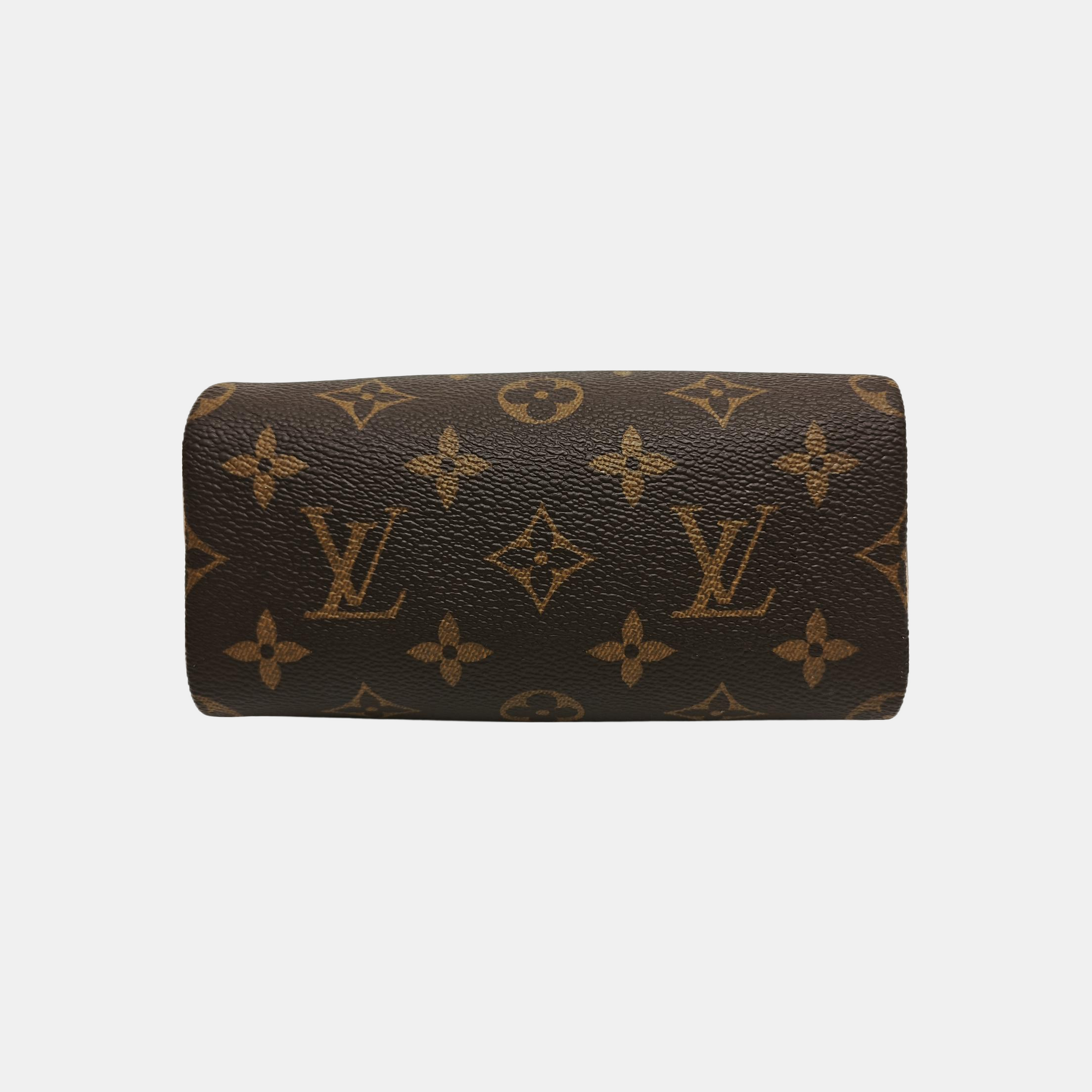 SPEEDY Nano Monogram Coated Canvas Brown