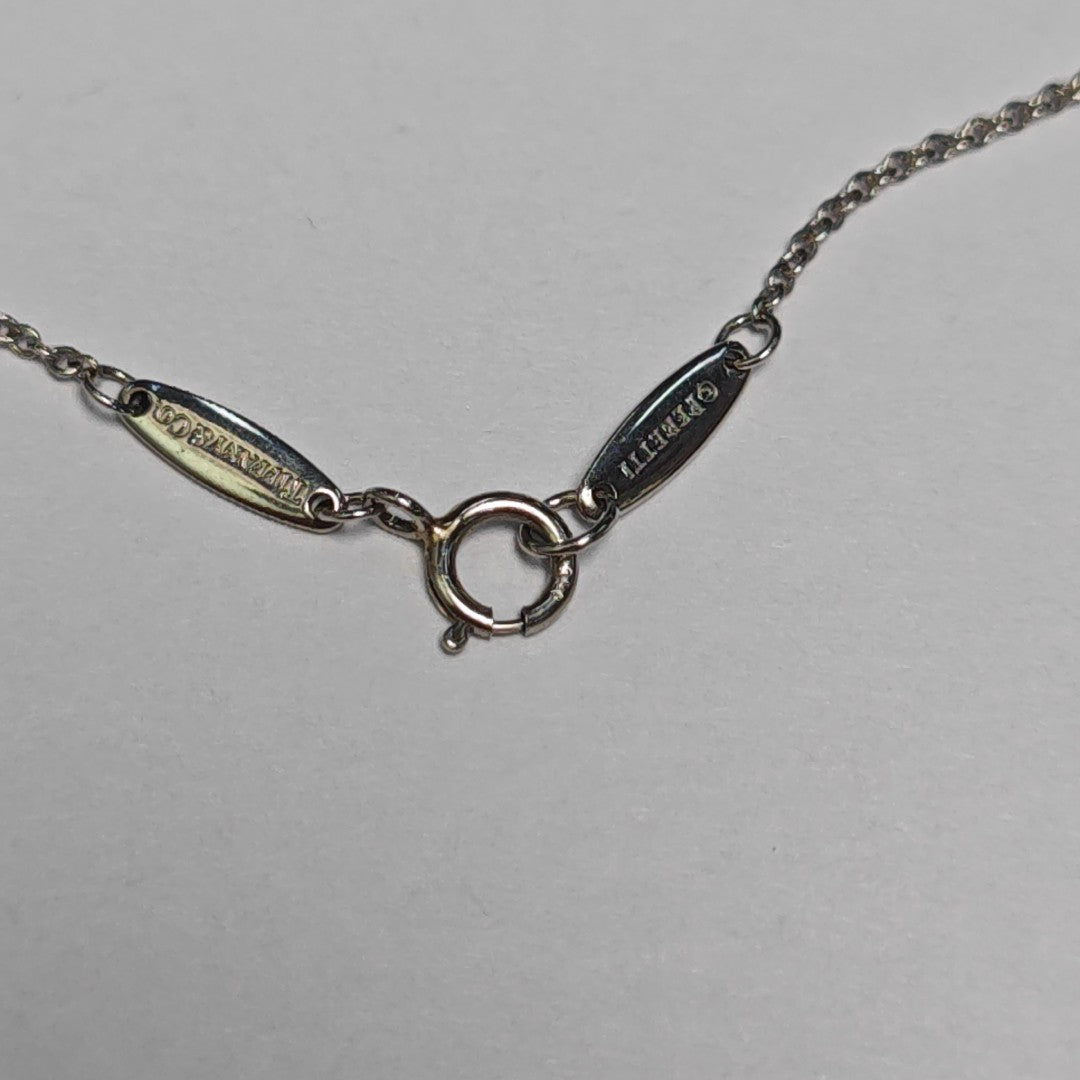 Elsa Peretti Platinum 950 Silver Necklace