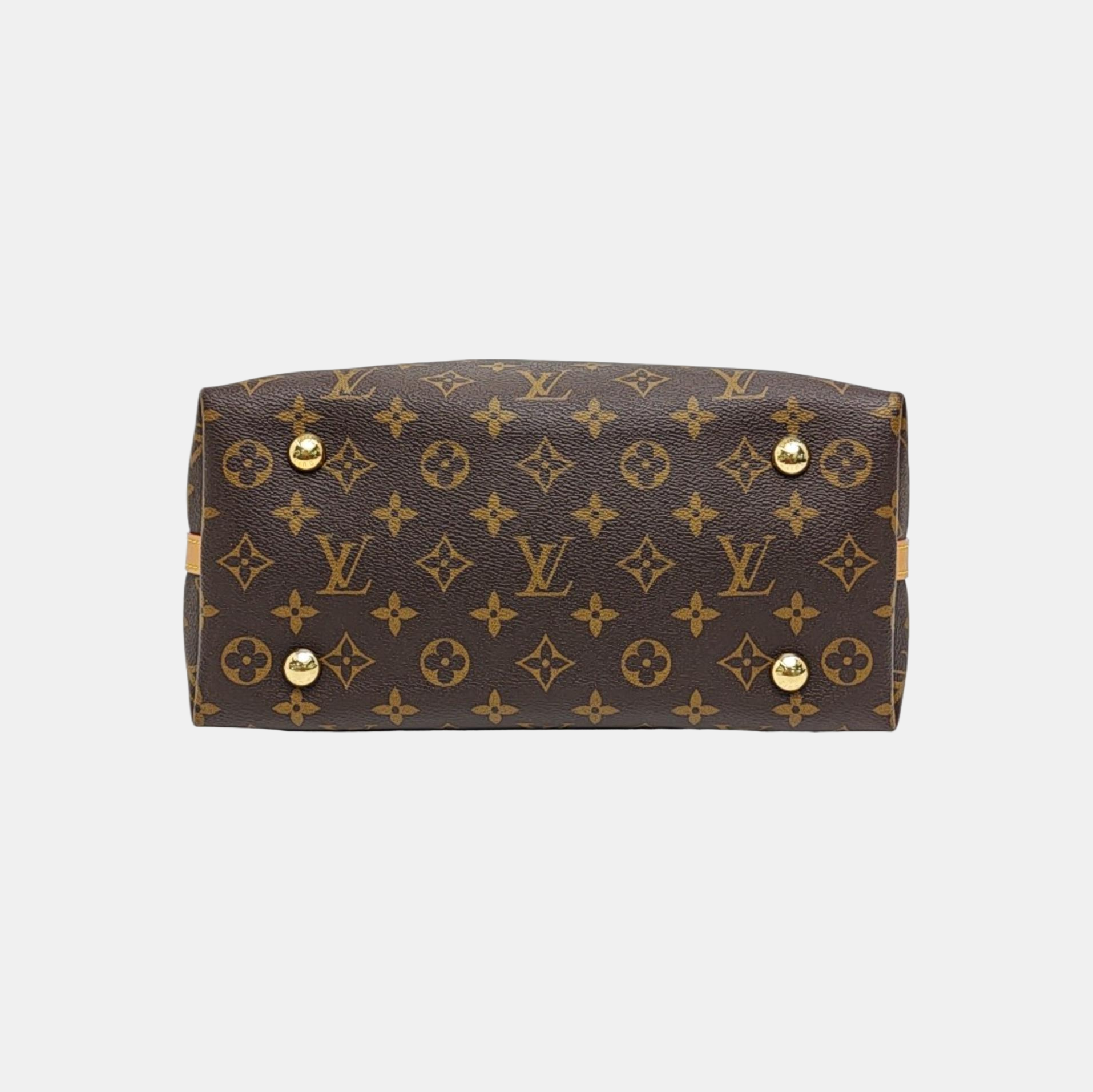 CARRYALL PM Monogram Coated Canvas Brown