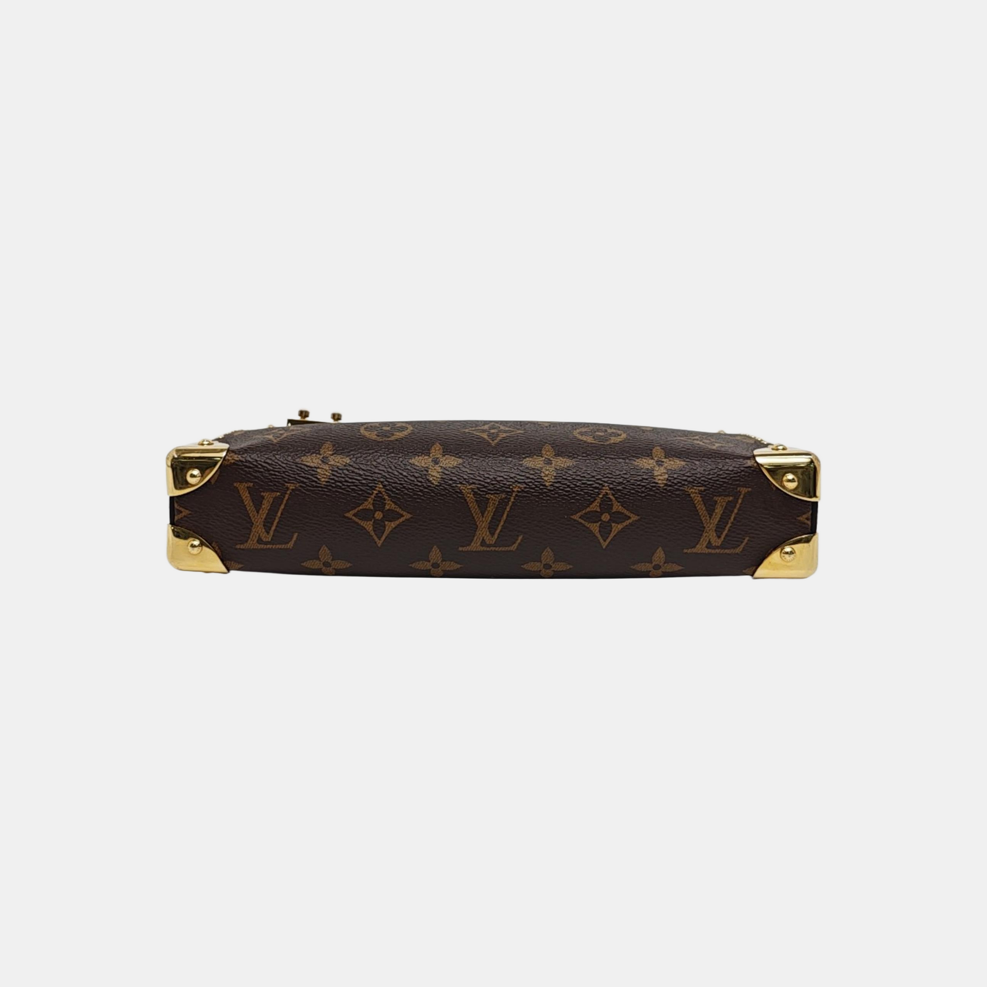 SLIM TRUNK Monogram Coated Canvas Brown