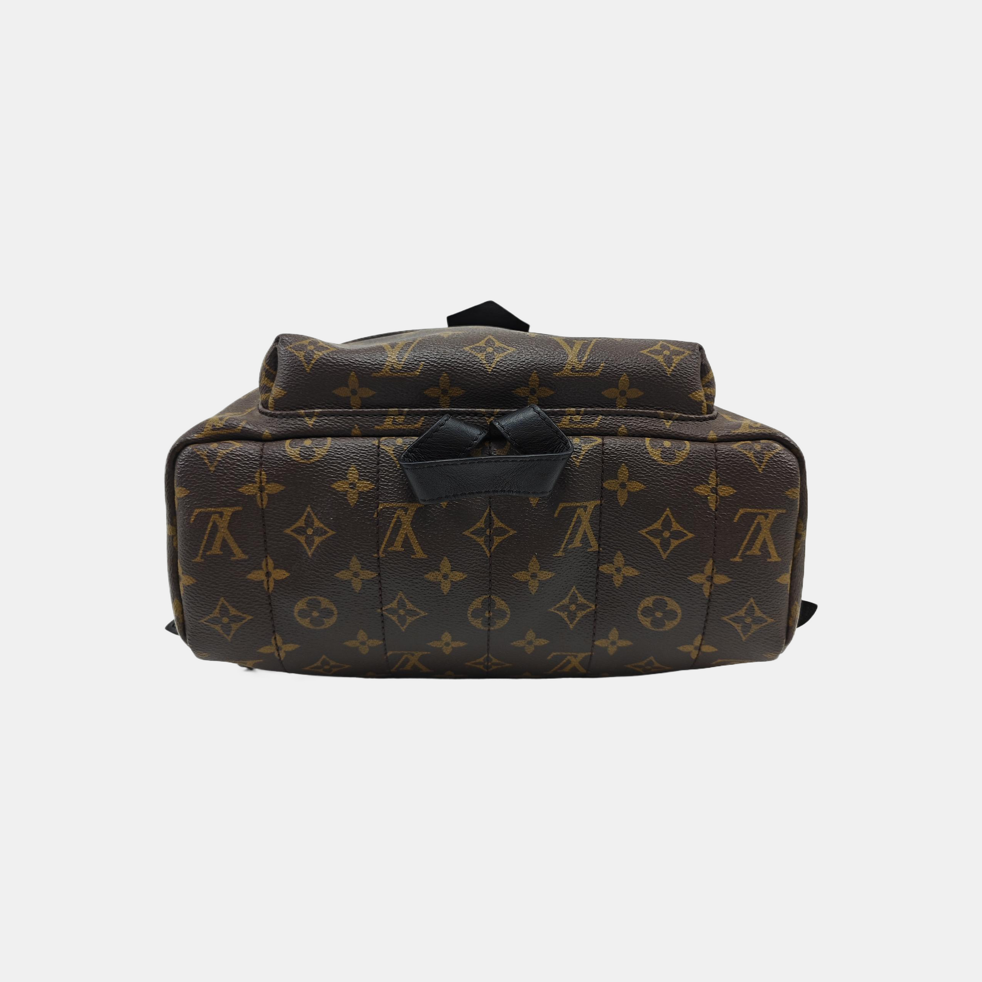 PALM SPRINGS MM Monogram Coated Canvas Brown