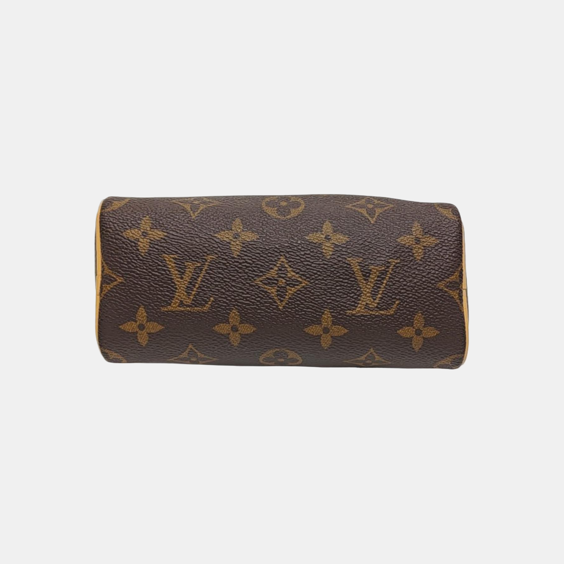 SPEEDY Nano Monogram Coated Canvas Brown