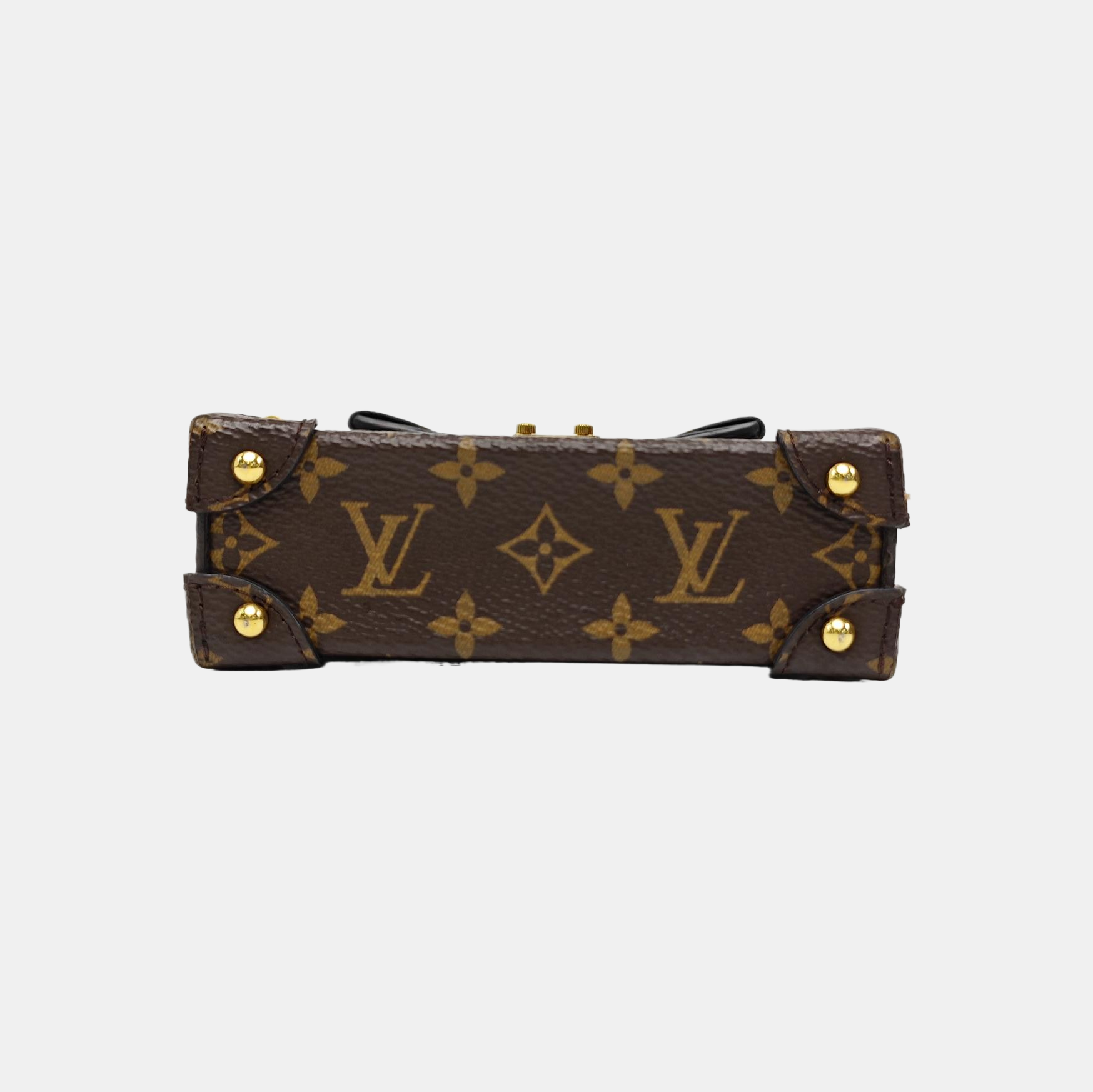 TRUNK Monogram Coated Canvas Brown
