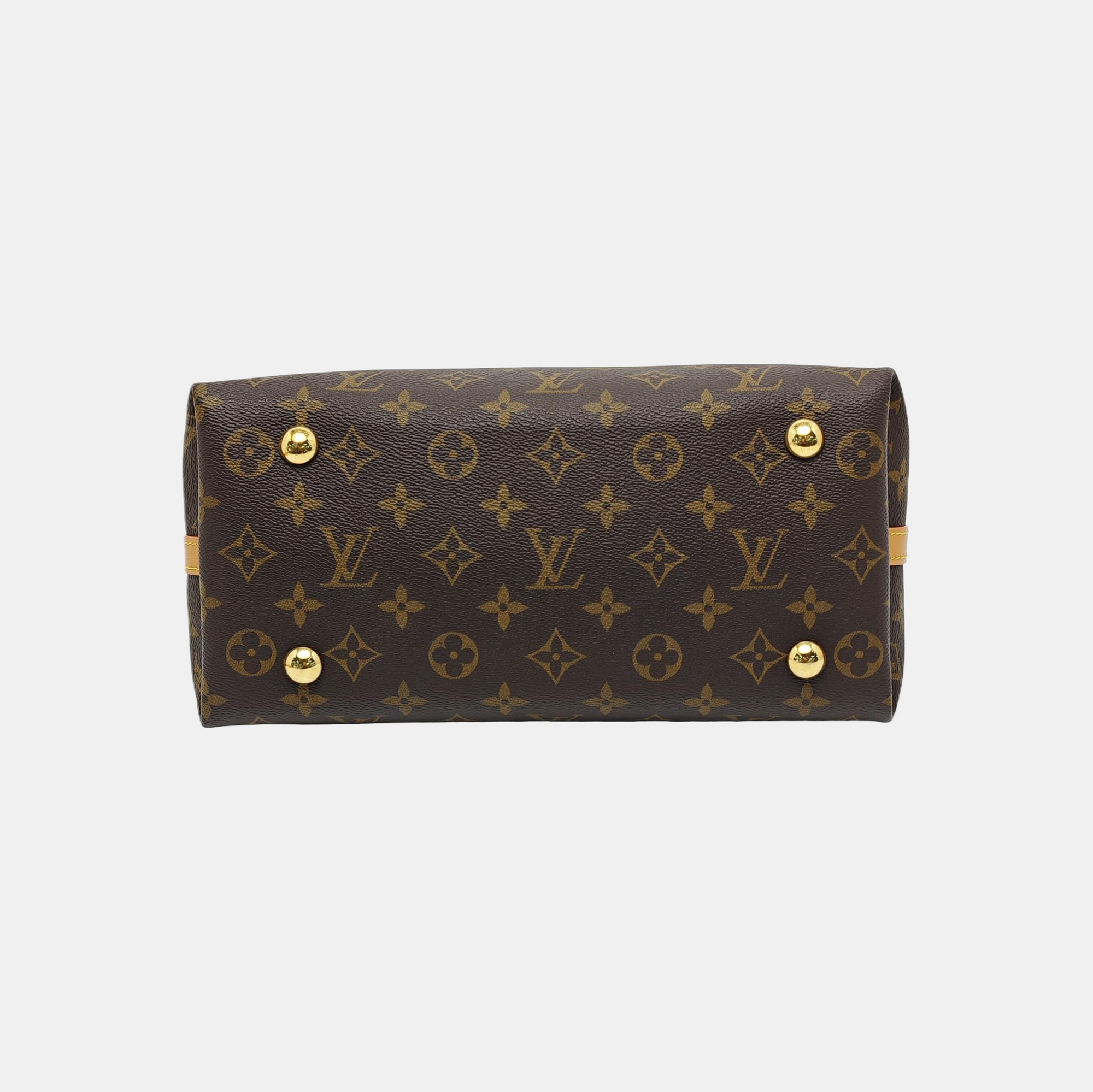CARRYALL PM Monogram Coated Canvas Brown