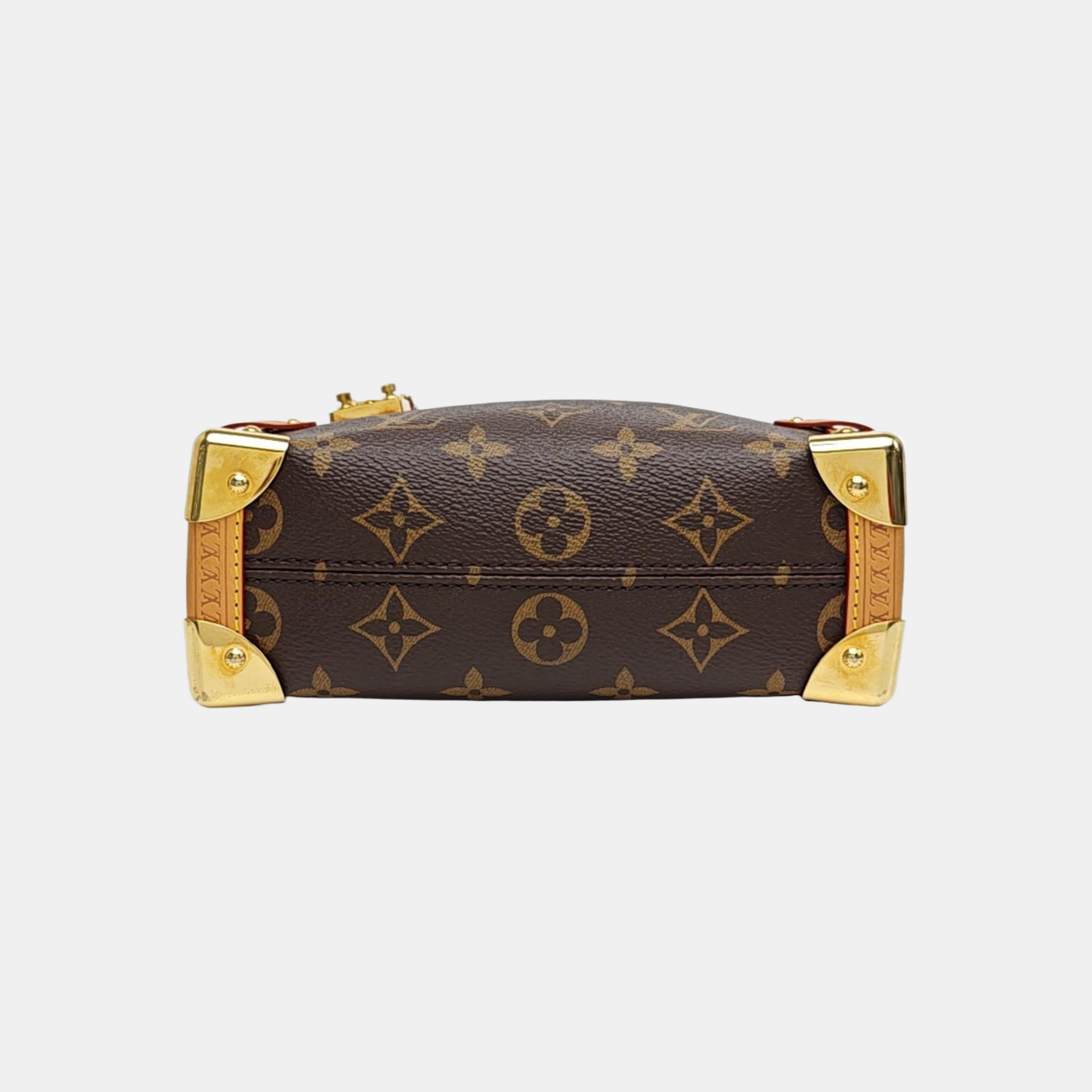 SIDE TRUNK PM Monogram Coated Canvas Brown
