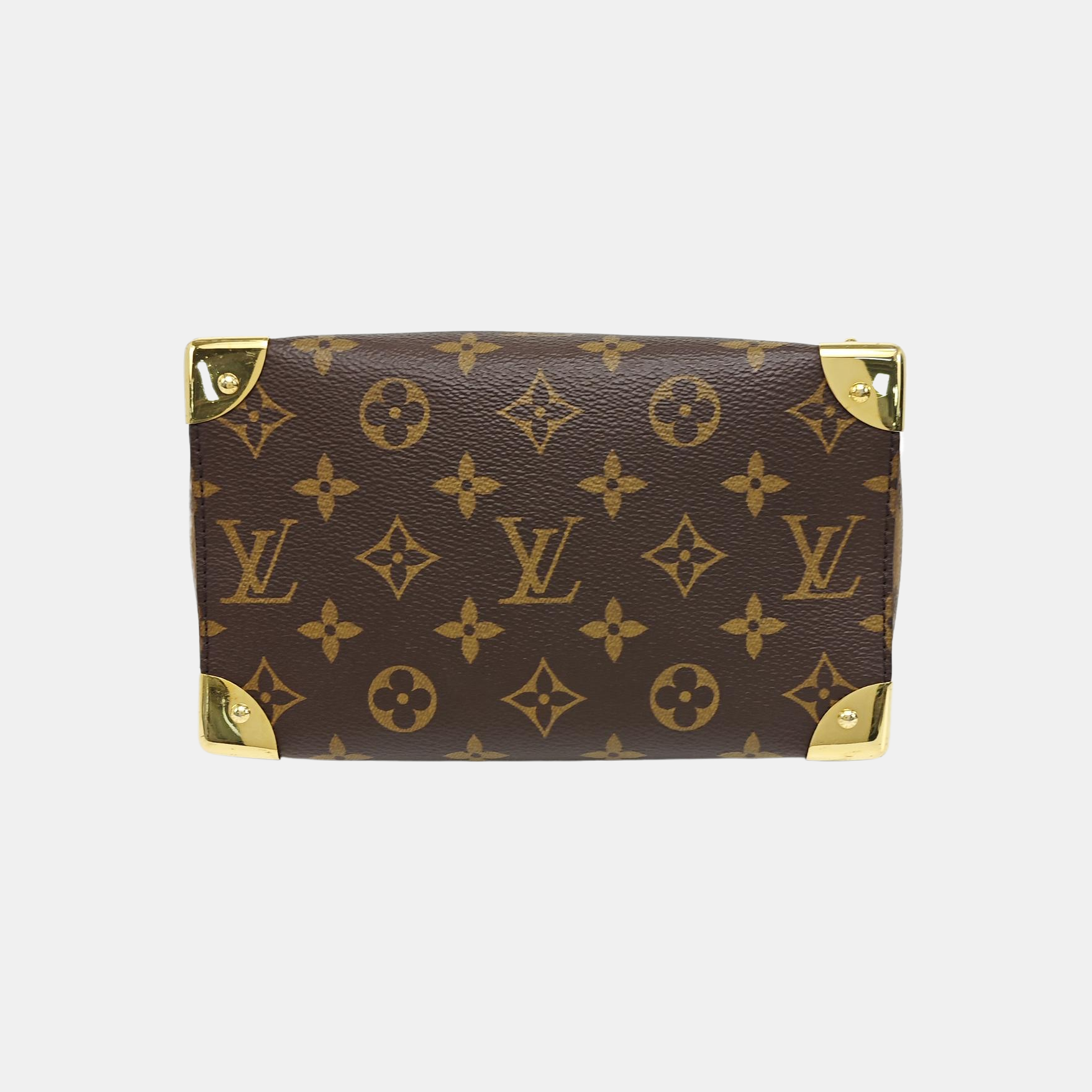 SPEEDY TRUNK 20 Monogram Coated Canvas Brown