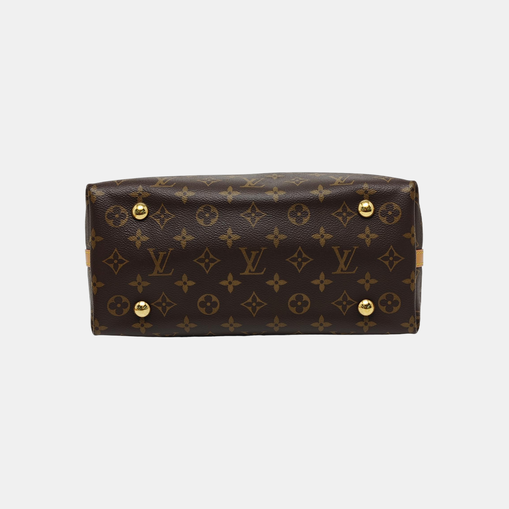 CARRYALL PM Monogram Coated Canvas Brown