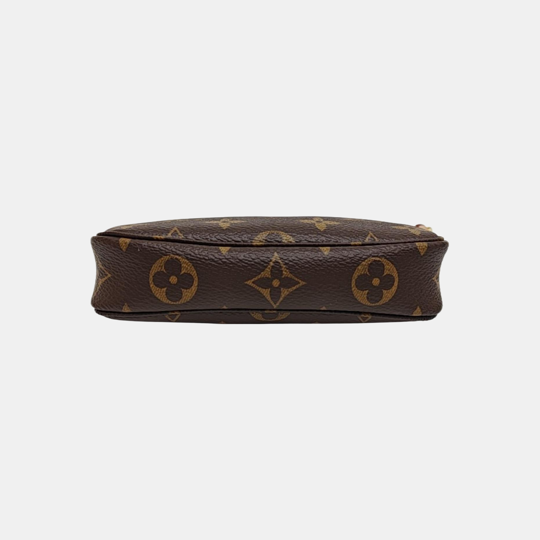 ACCESSOIRES Mini Monogram Coated Canvas Brown