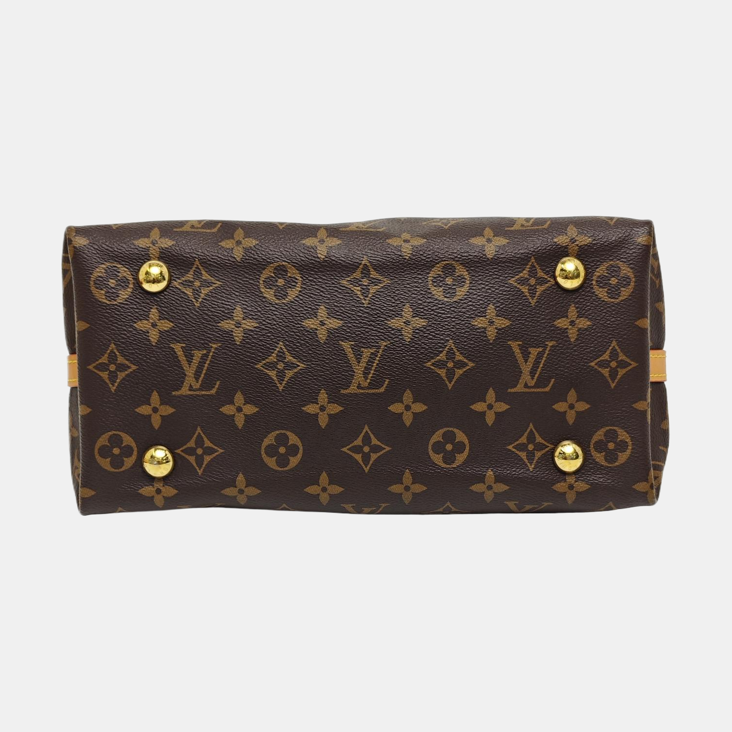 CARRYALL PM Monogram Coated Canvas Brown