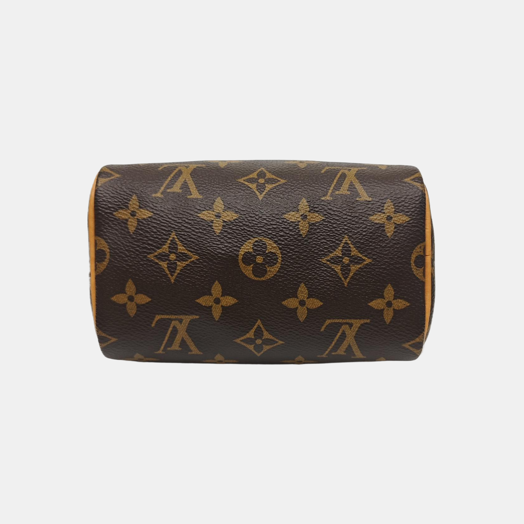 SPEEDY Nano Monogram Coated Canvas Brown