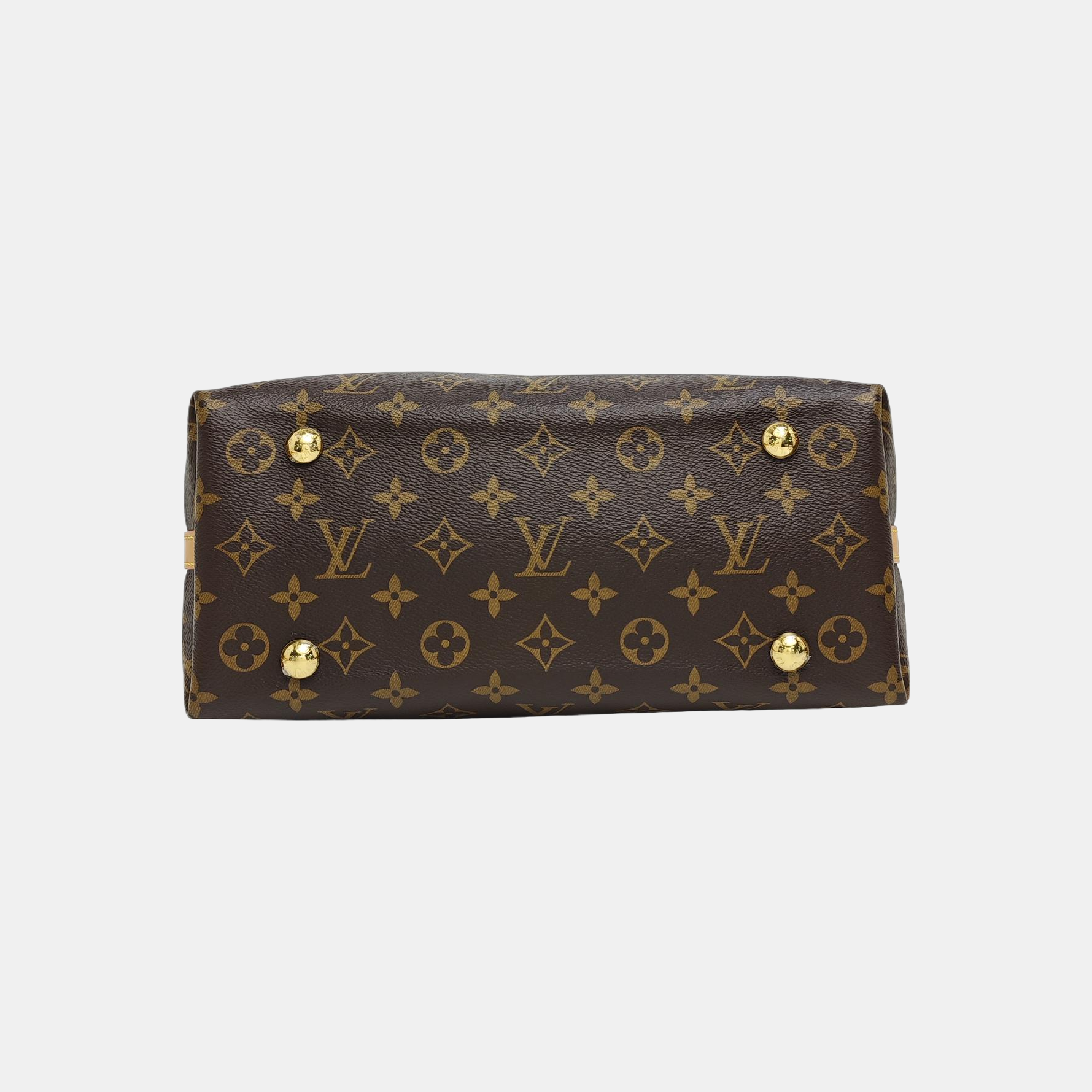 CARRYALL PM Monogram Coated Canvas Brown