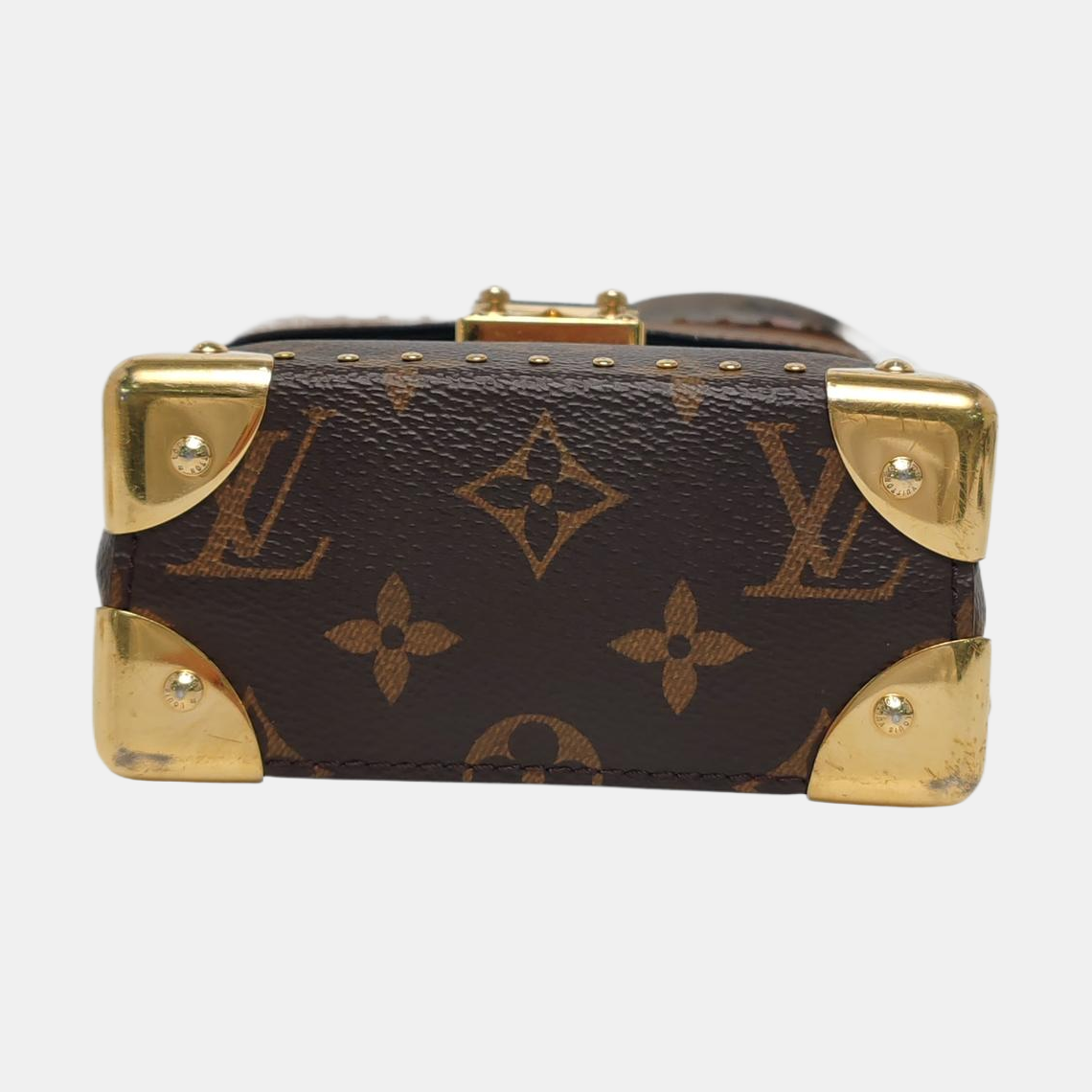 CAMERA BOX Monogram Coated Canvas Brown